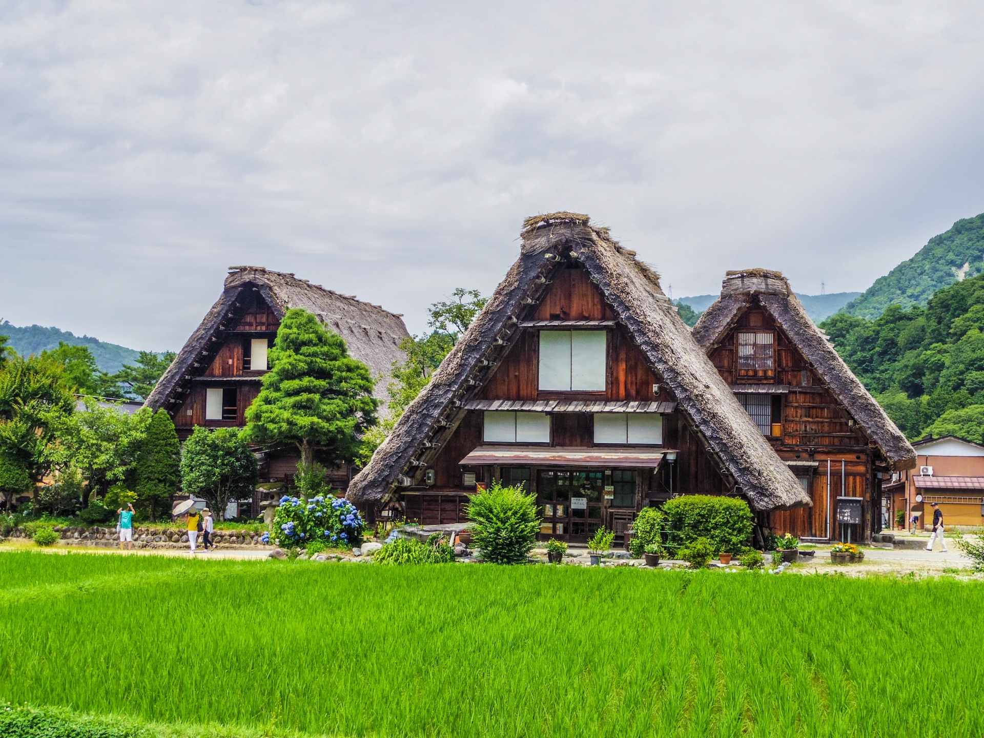 Takayama & Shirakawa-go Day Tour with Hida Beef Lunch