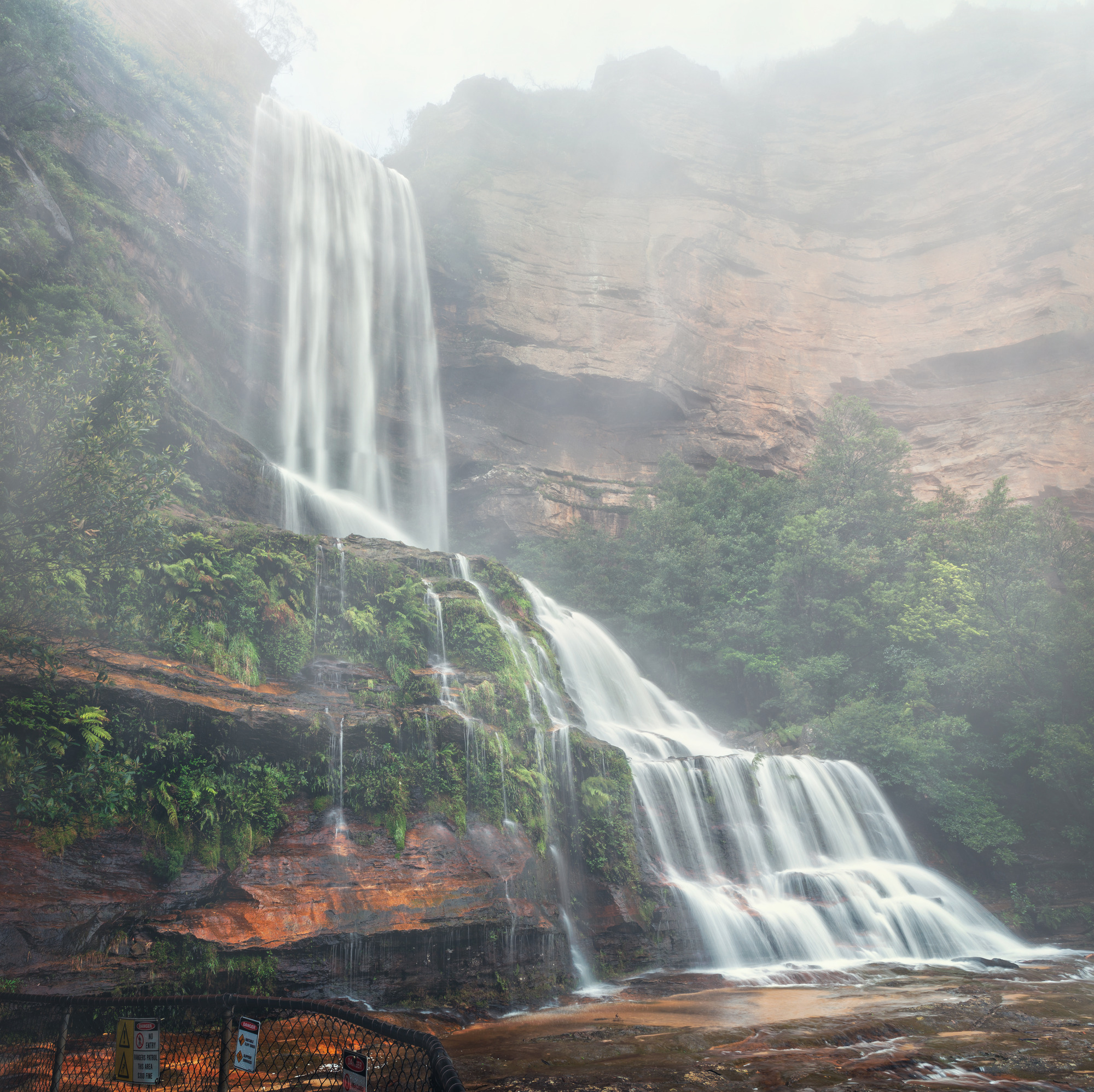 Australian Wildlife, Blue Mountains & Scenic World Private Tour