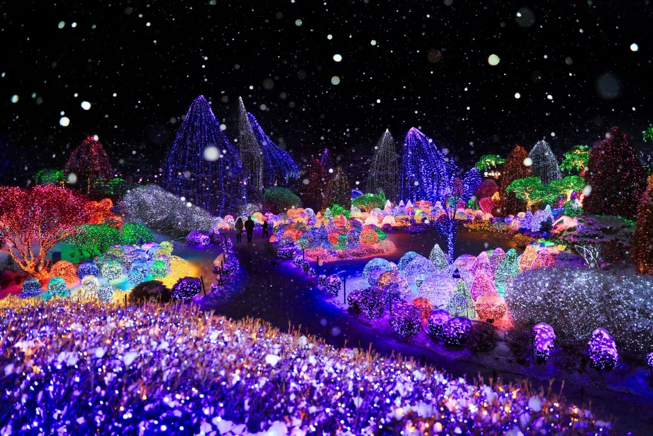 三岳山纜車 / 晨靜樹木園 燈光節 / 採摘草莓 / Eobi冰谷 / 雪橇 一日遊