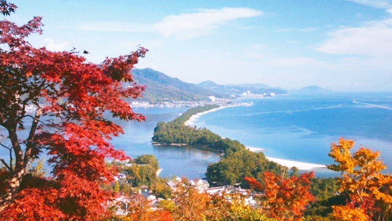 秋陽下的天橋立，松影覆白沙，沿岸楓紅與澄澈波光合奏出靜謐的山海詩篇。