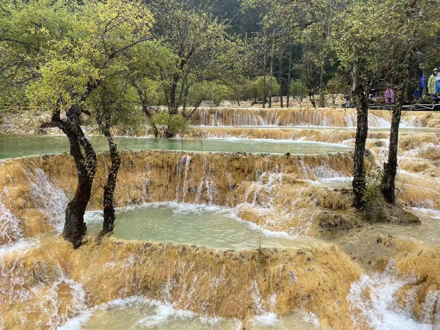 黃龍風景區海撥較高，平均海拔約3400米，切勿劇烈運動，避免高反。徒步遊覽時，每隔500米，設有休息室，呼吸困難請停留休息！景區內暫無餐廳，景區內設有小賣部，提供簡單飲用水和零食；建議自備食物和飲用水。