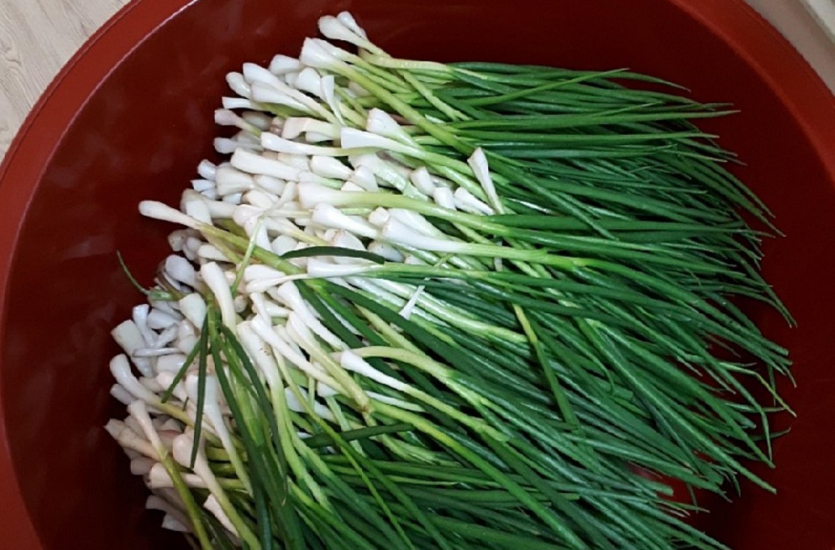 Making Chives Kimchi with Dried Shredded Squid in Busan