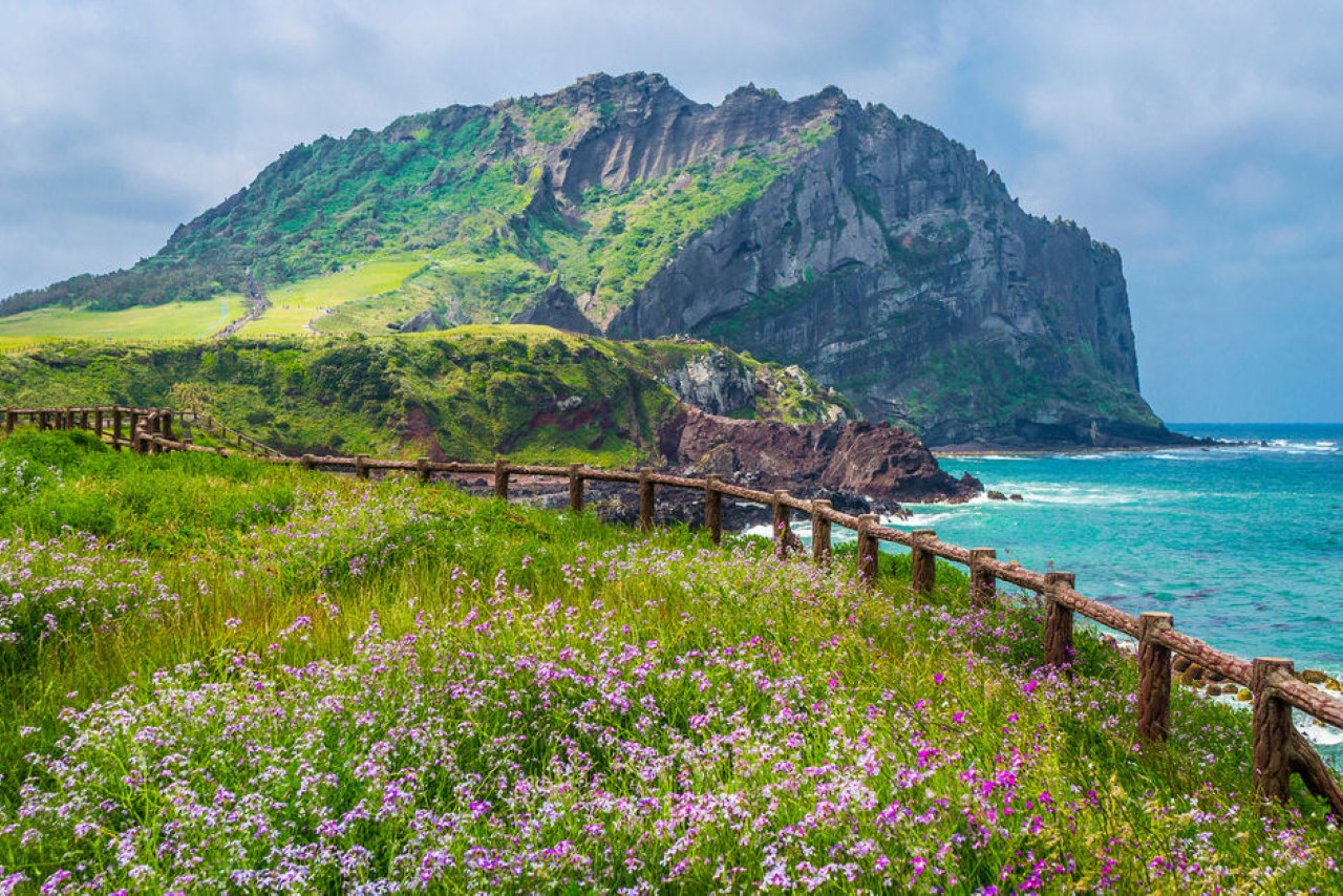 Hotel Pick up /Jeju UNESCO East Small Group Tour with Licensed Guide