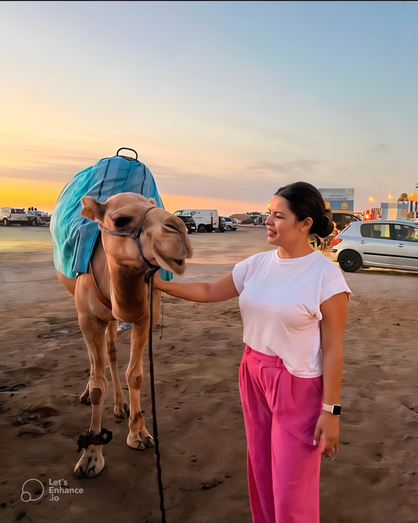 Sunset Camel Ride & Full Dinner