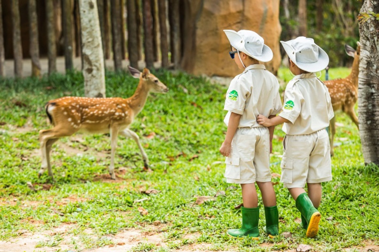 Junior Zoo Keeper Experience for Kids