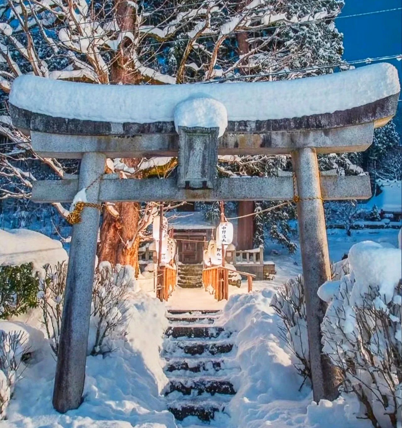 冬季限定｜京都嵐山&美山合掌村雪燈廊點燈一日遊｜大阪/京都出發