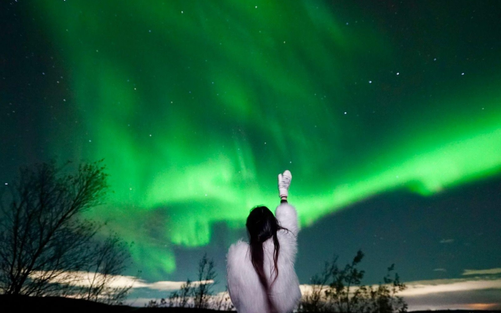 Rovaniemi Northern Lights Small Group Tour