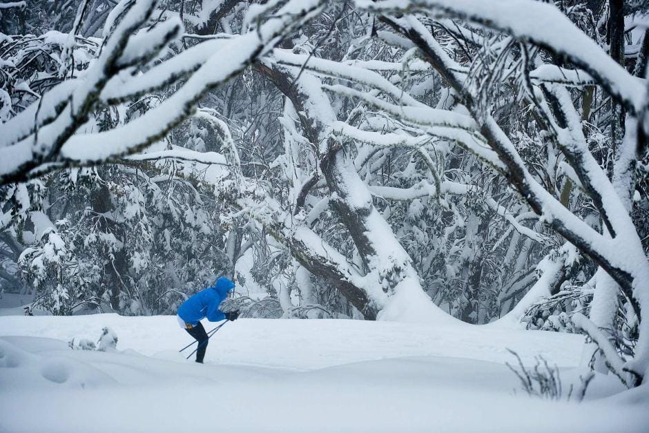 Melbourne: Private Mount Buller Snow & Ski Tours