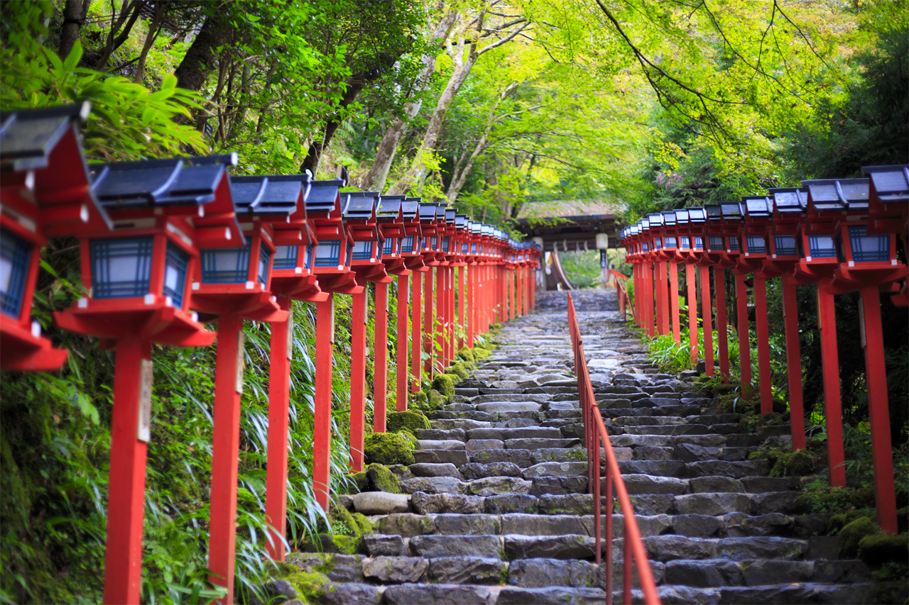 京都一日遊|貴船神社&嵐山竹林小徑&三千院｜漫步京都｜4人成團（大阪/京都出發）