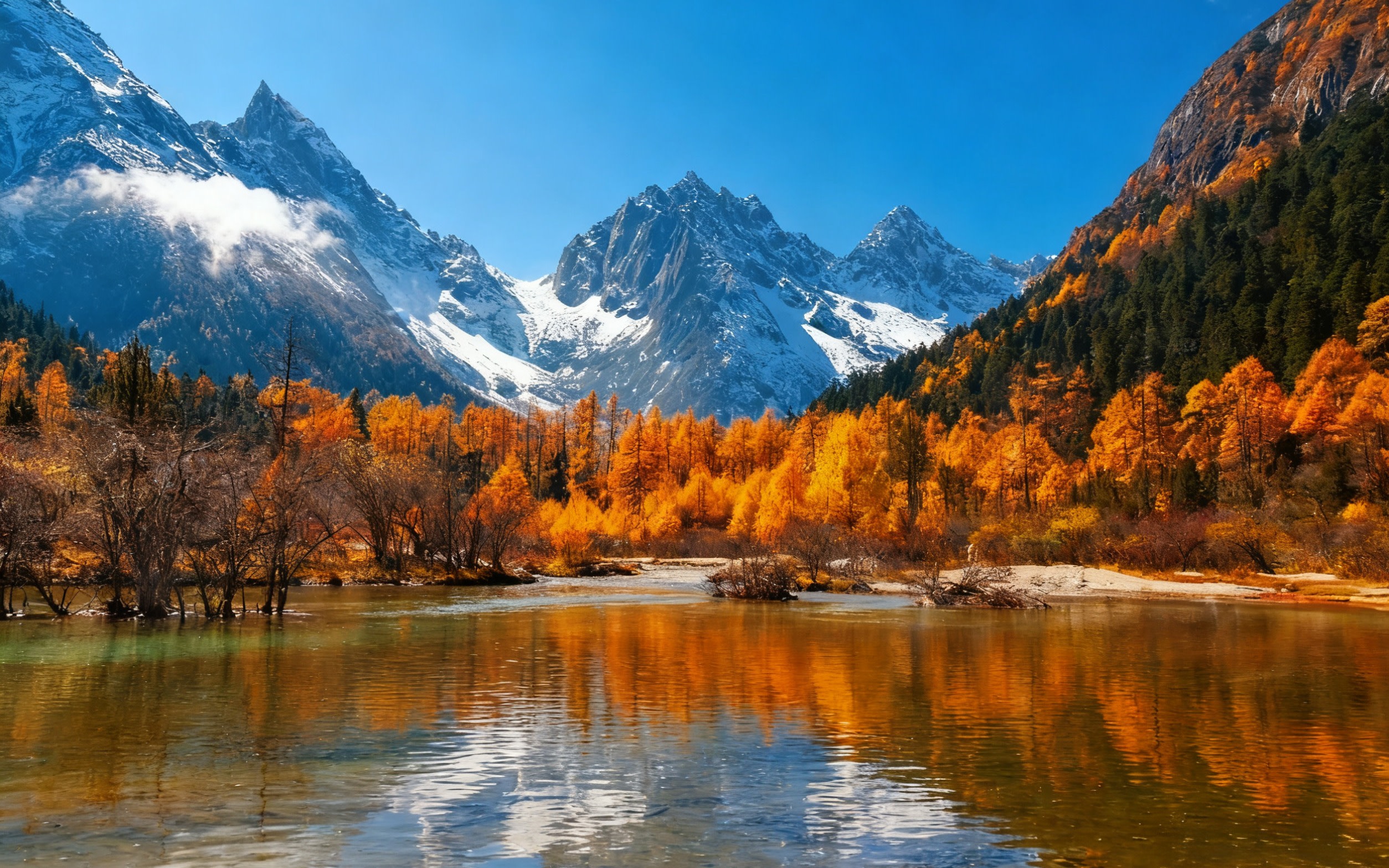 Chengdu Bipenggou Full-Day Scenic Group Tour