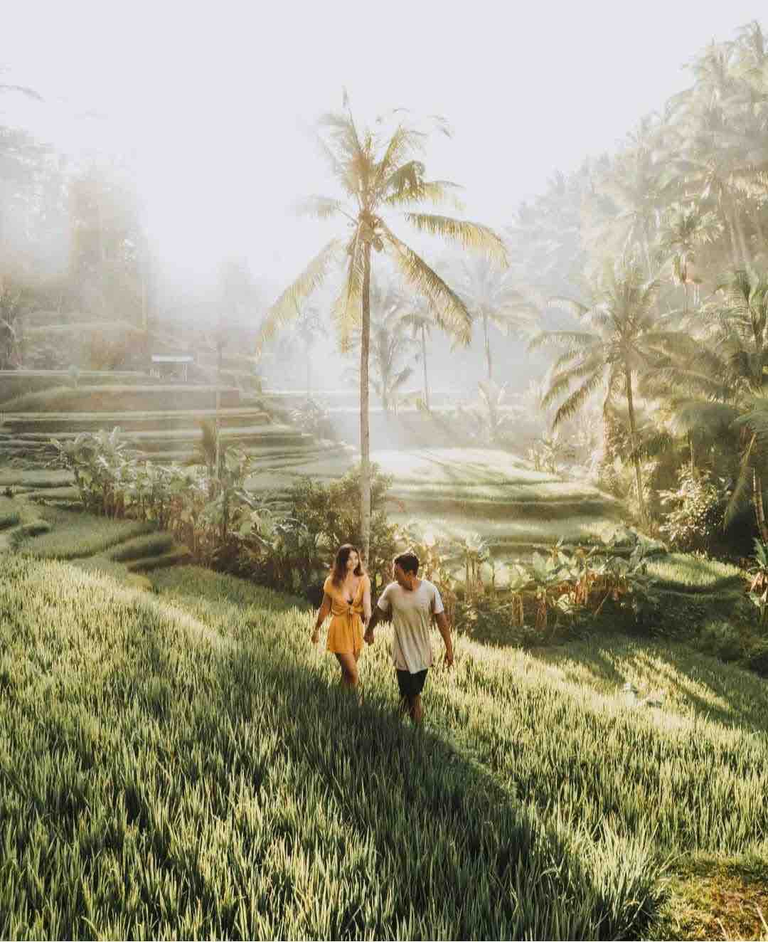 探索宏偉壯麗的德哥拉朗梯田