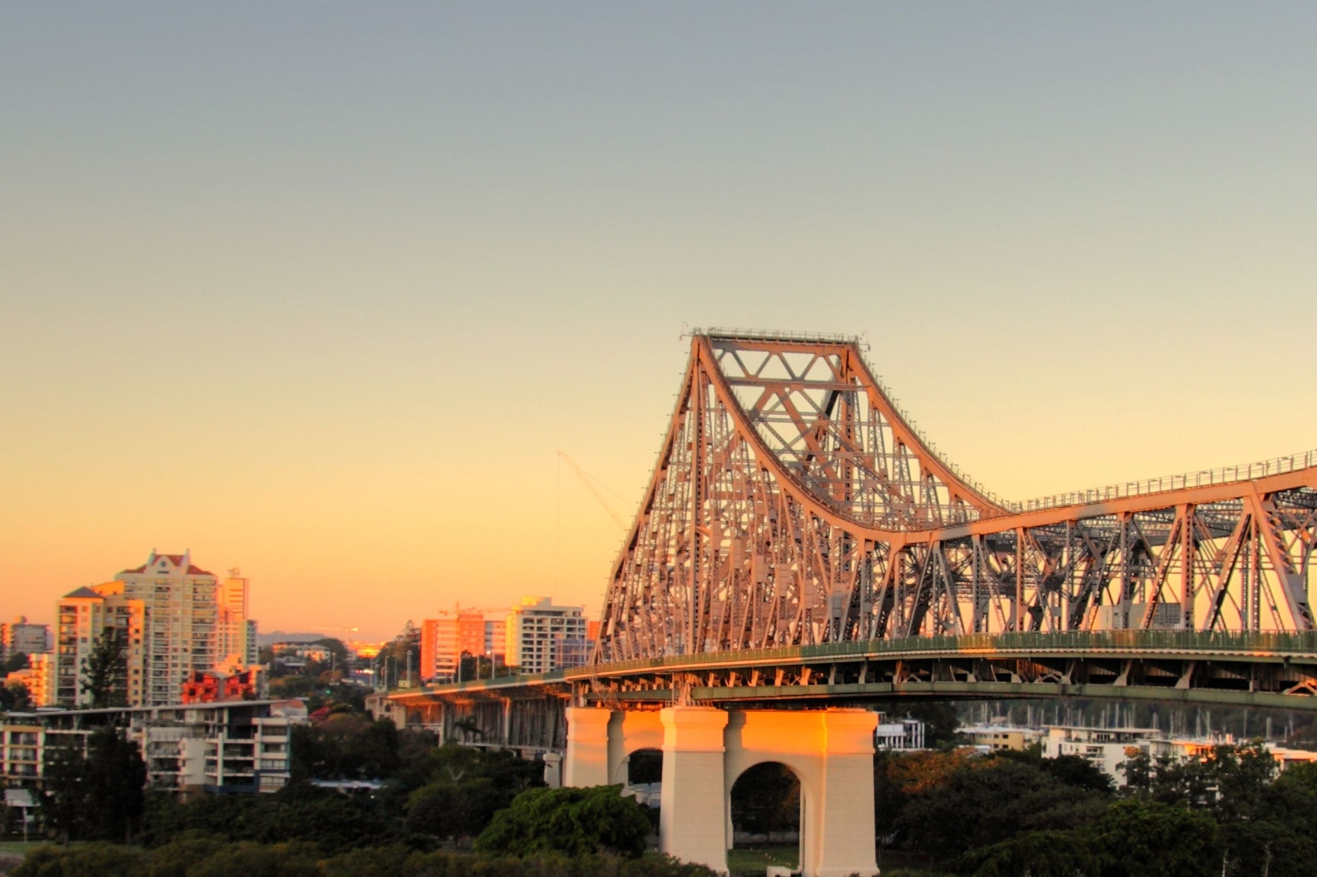 Brisbane City Highlight Tour with Entry to Lone Pine Koala Sanctuary