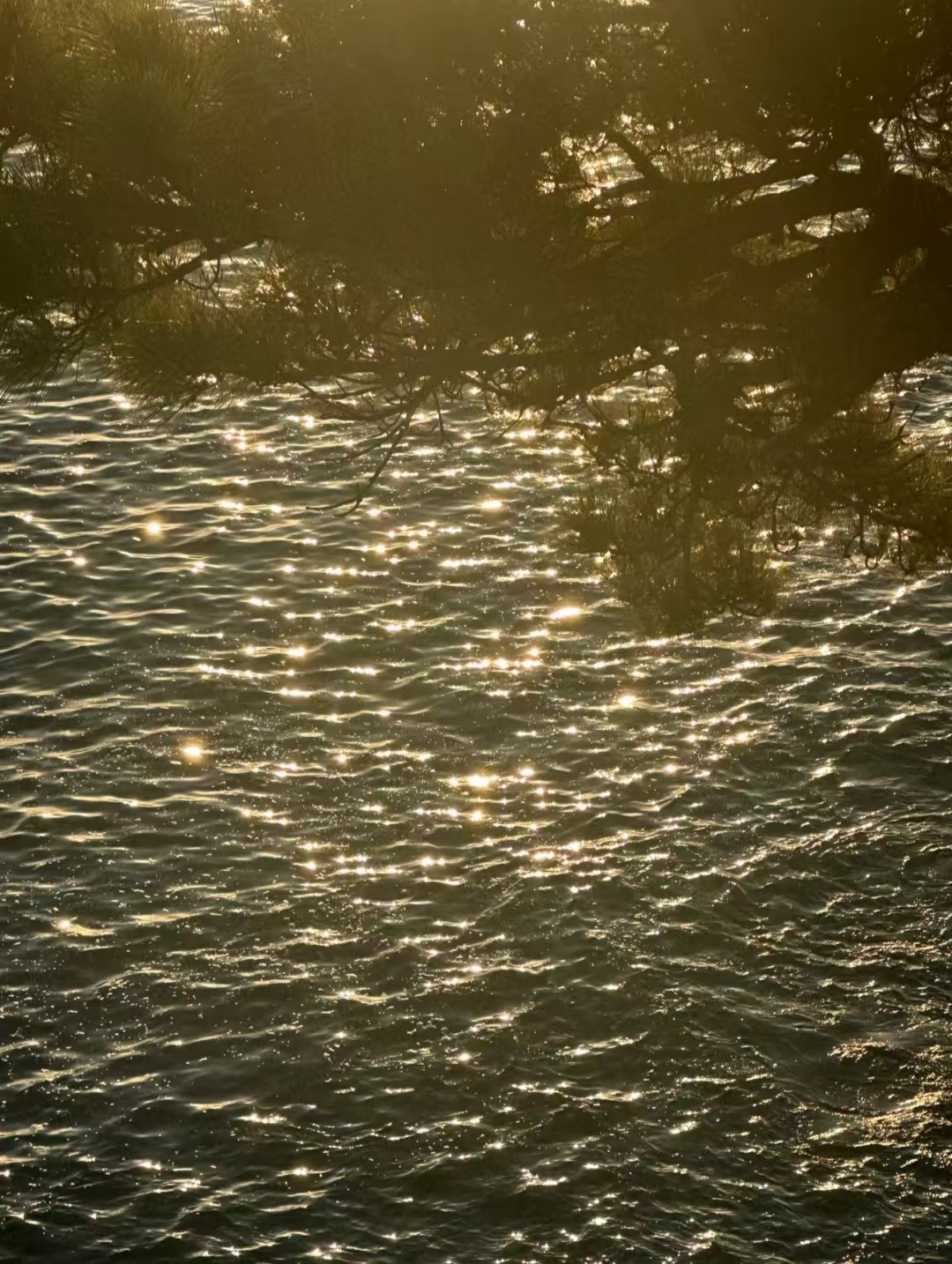 高知桂濱是位於日本四國島高知縣高知市的代表性觀光地,以弧形沙灘、茂綠松林等美麗自然風光著稱,且蘊含豐富歷史文化,有坂本龍馬像、龍馬紀念館等景點。 高知桂濱是位於日本四國島高知縣高知市的代表性觀光地,以弧形沙灘、茂綠松林等美麗自然風光著稱,且蘊含豐富歷史文化,有坂本龍馬像、龍馬紀念館等景點。