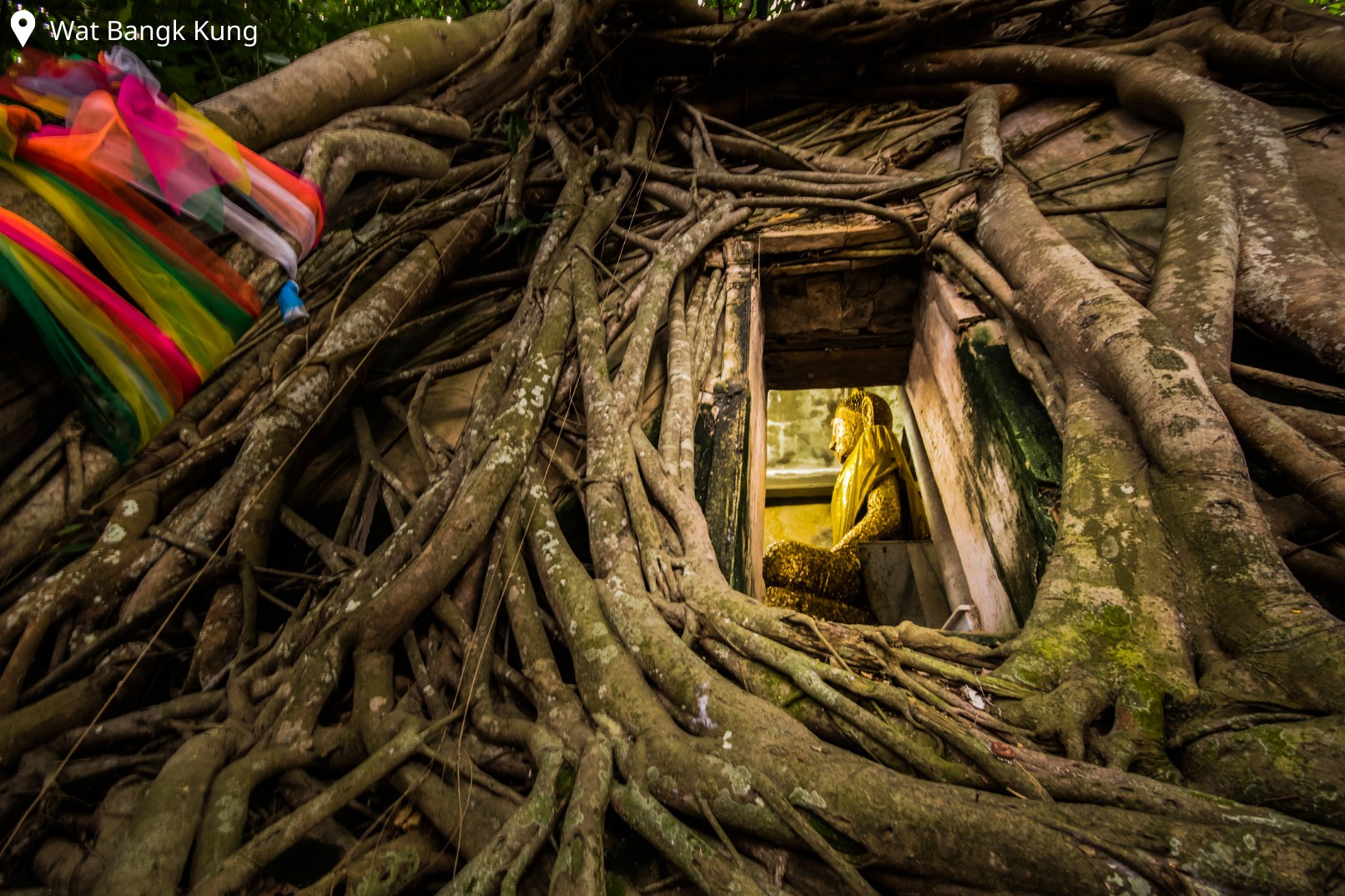 Explore the famous Wat Bang Kung, a temple in a banyan tree
