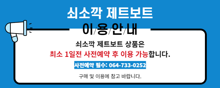 [제주] 쇠소깍 제트보트 체험