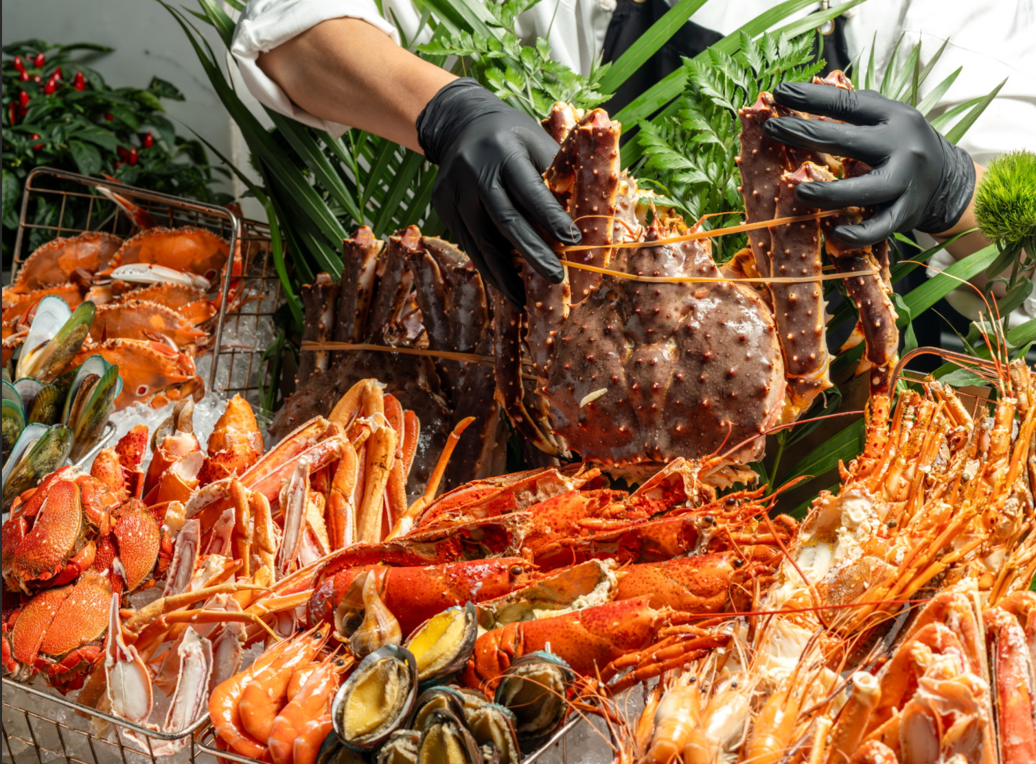 [Buffet Offer] Shenzhen Raffles Hotel Buffet | Buffet Dinner | High-Altitude Night View