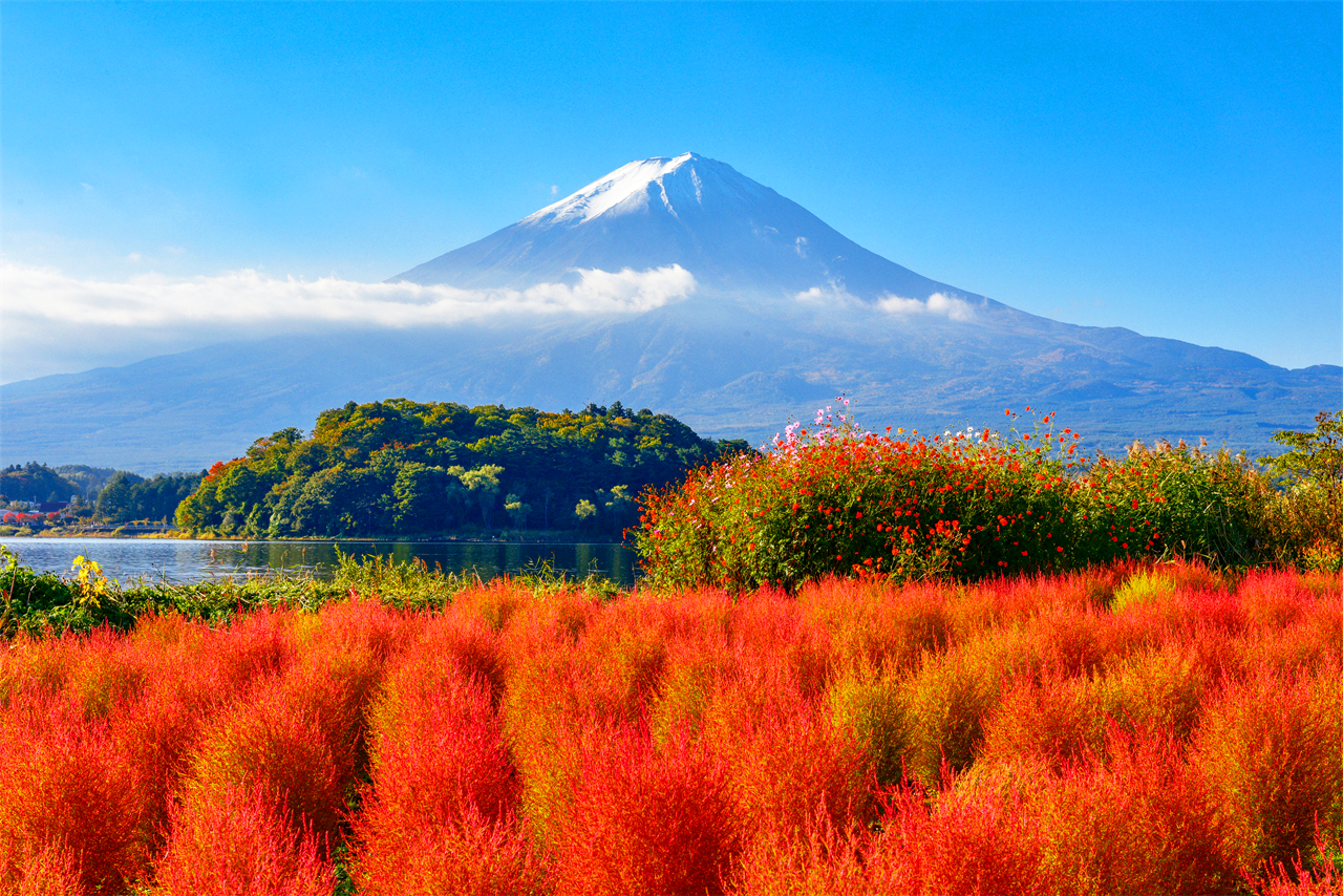 富士山探索之旅-新倉山淺間公園·天梯小鎮·忍野八海·河口湖大石公園·西湖療愈里根場一日遊