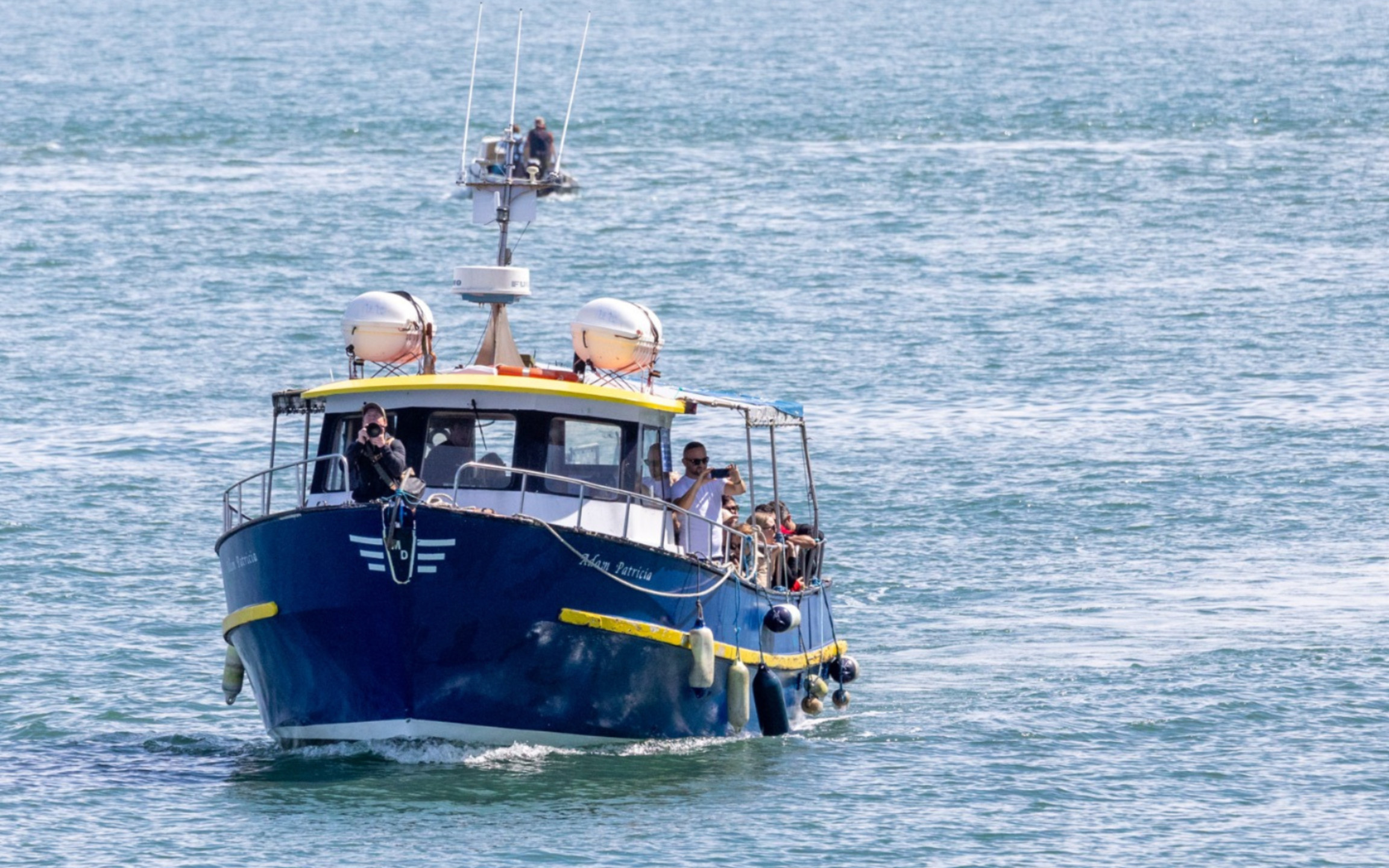 Howth Cliffs and Baily Lighthouse boat tour in Dublin