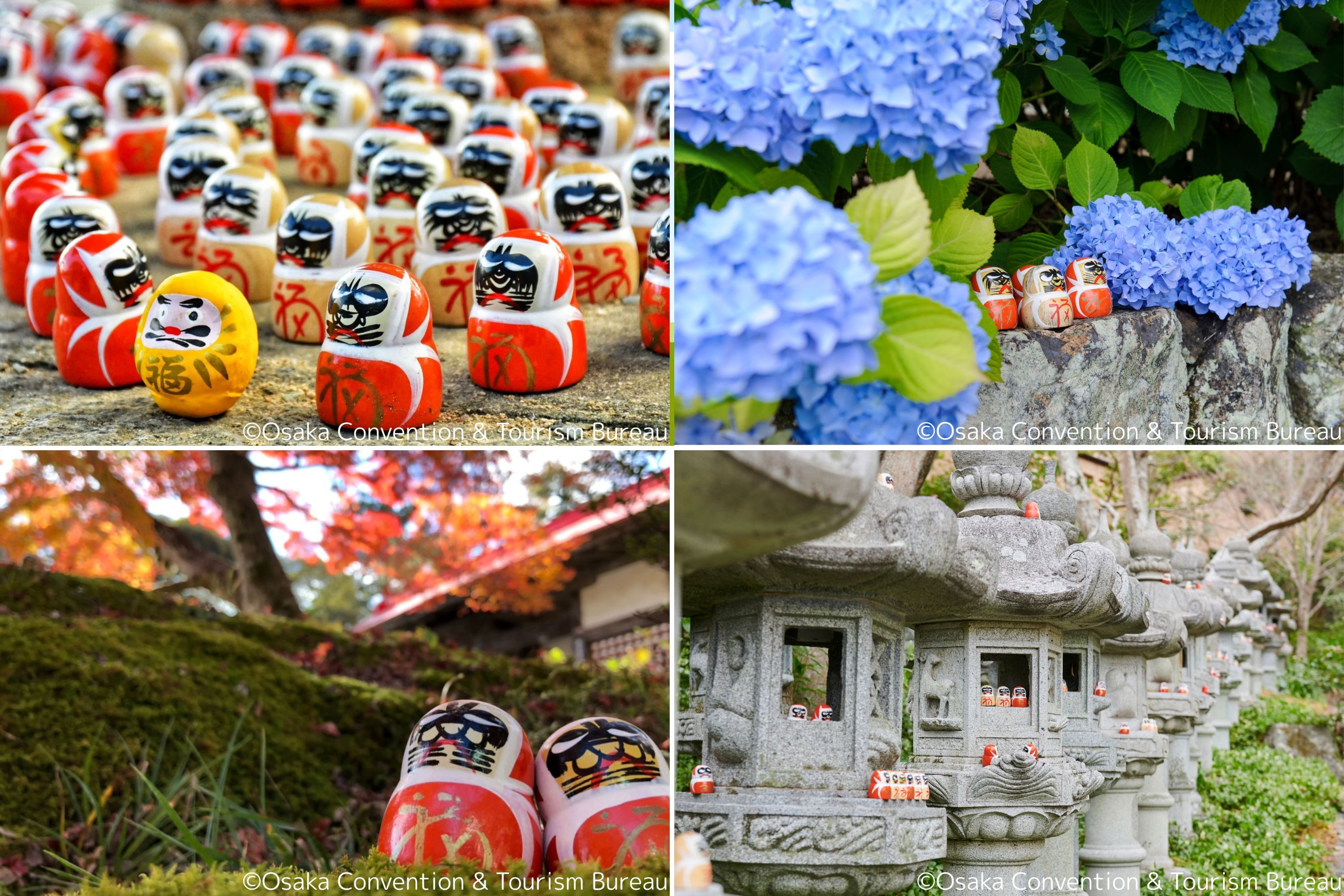 宇治平等院 & 伏見稻荷大社 & 勝尾寺 & 箕面大瀑布一日遊 (大阪出發)