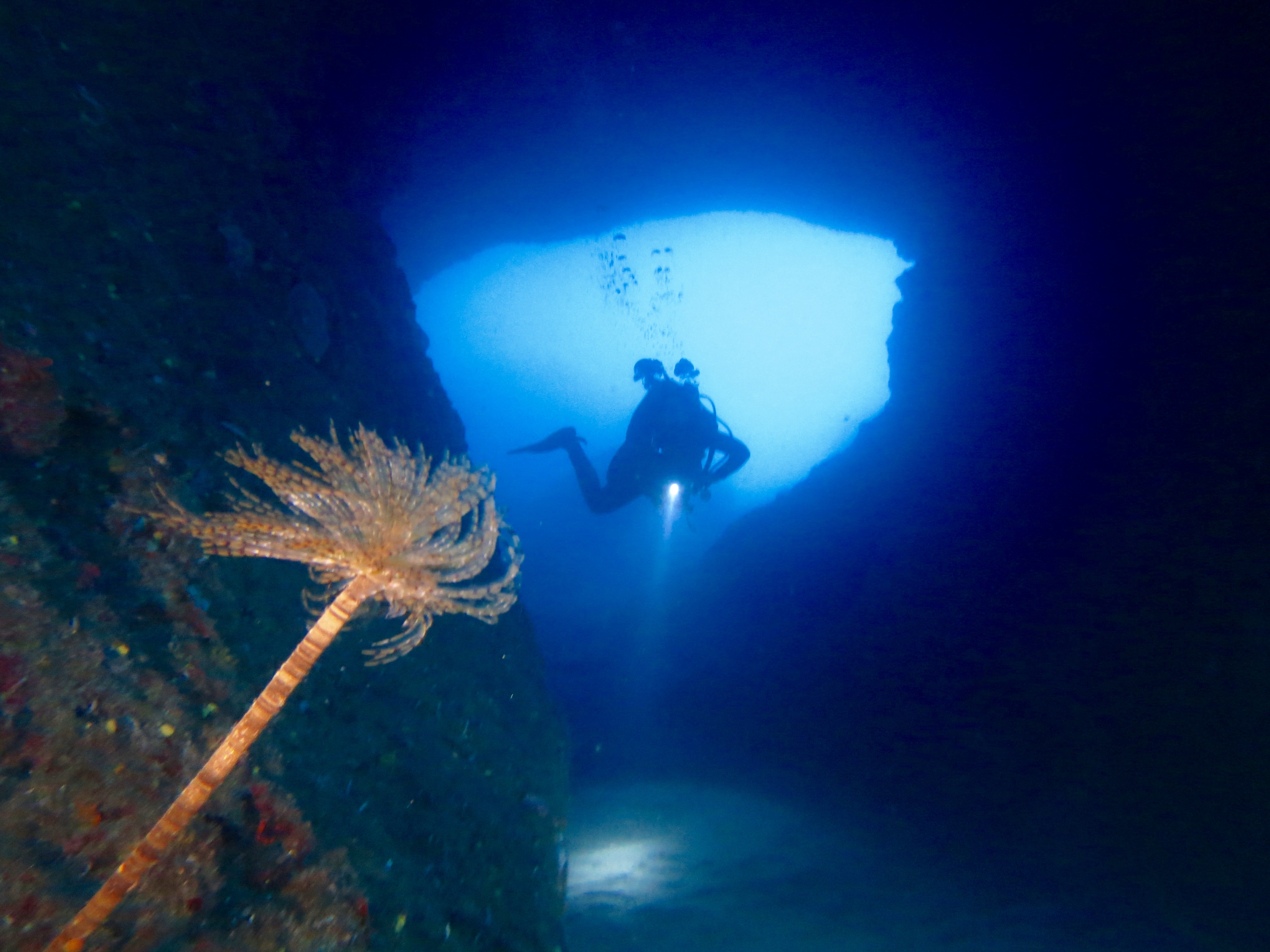 Cala Gonone's Hidden Treasures: Full-Day Dive Trip with PADI Center