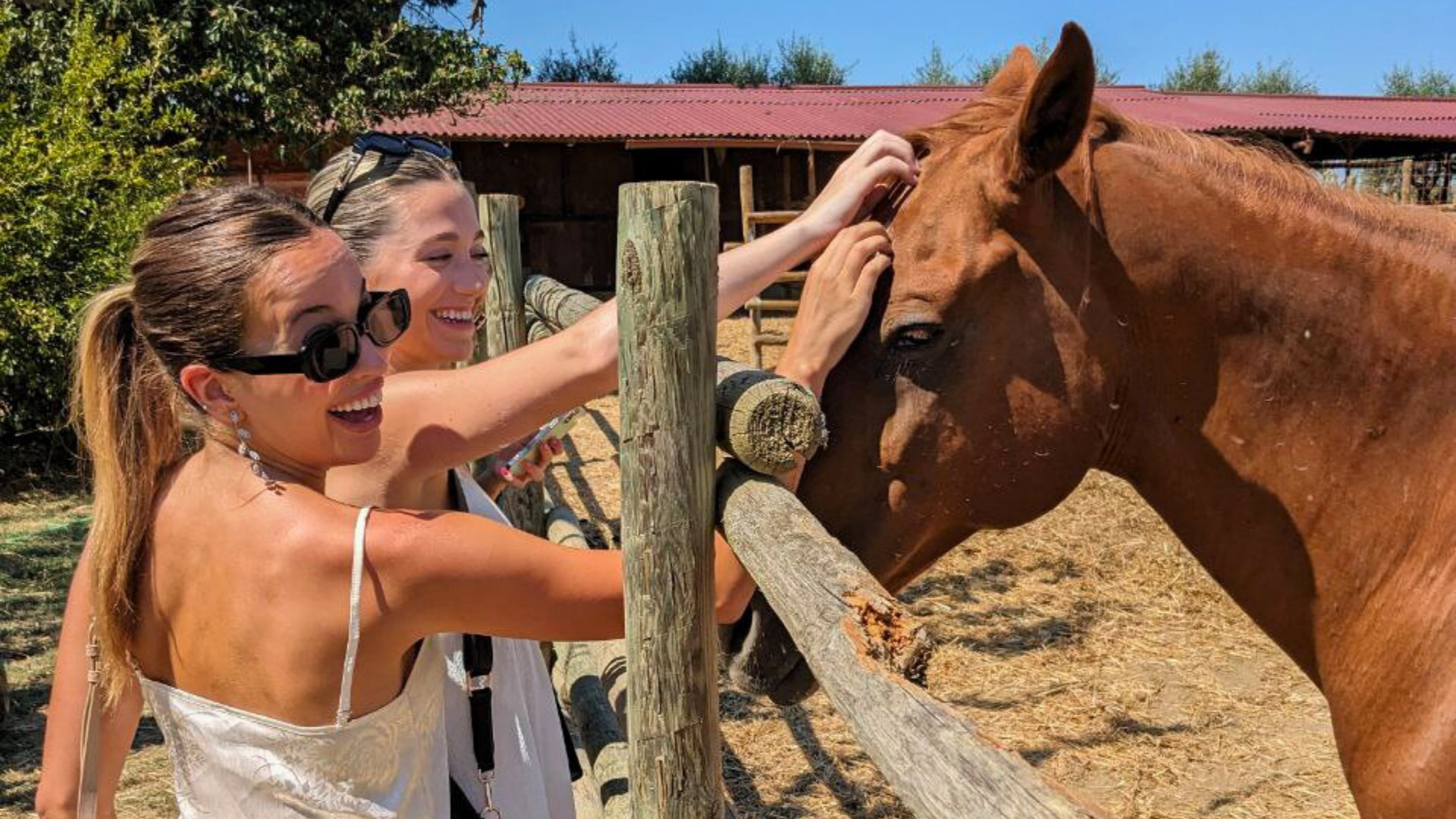 From Florence: Tuscany Horseback Riding and Winery Tour with Lunch