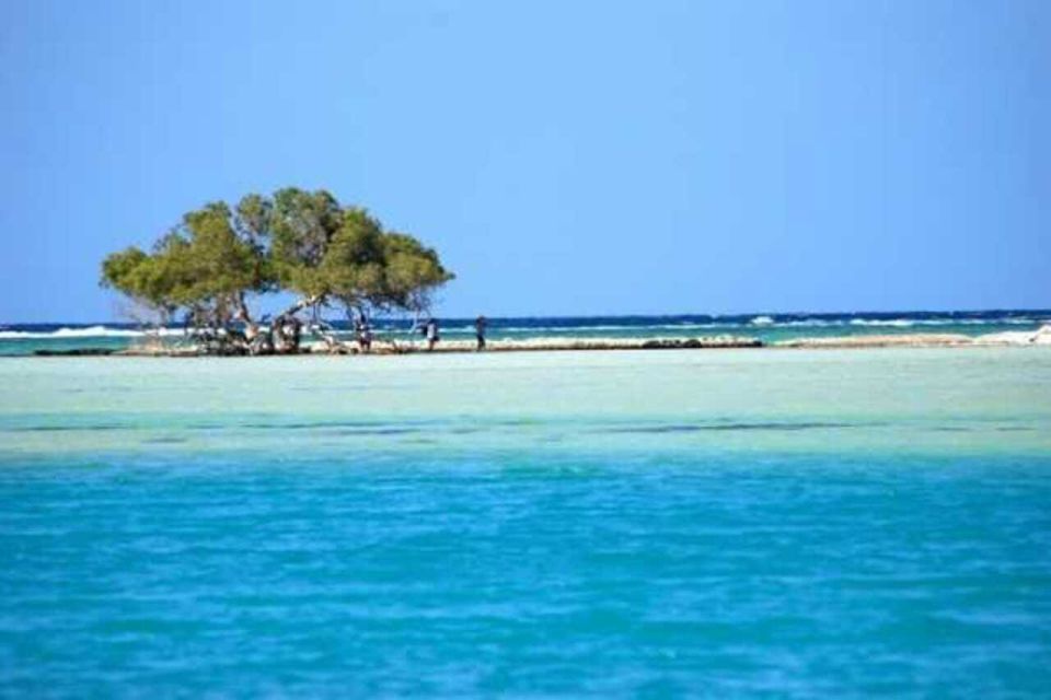 Marsa Alam: Hamata Islands Snorkeling Trip with Lunch