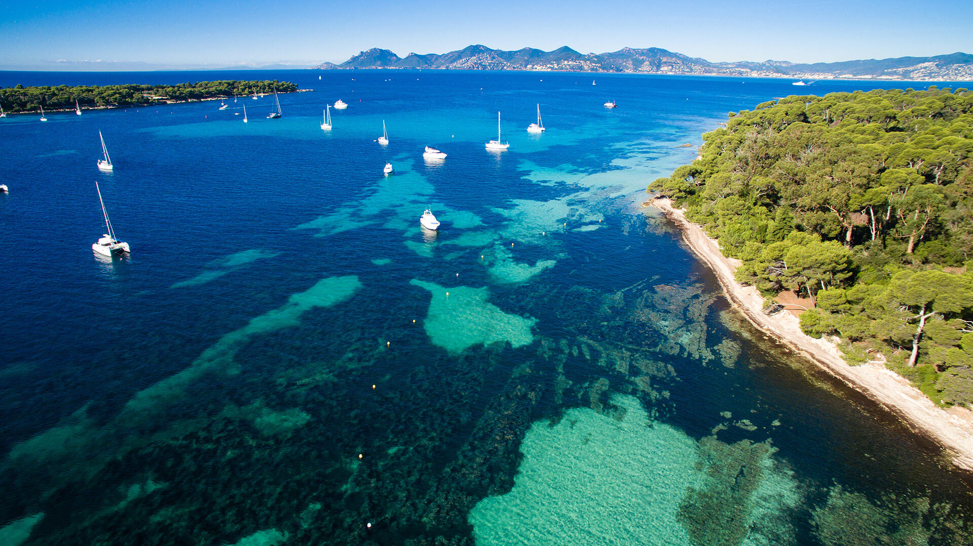 Private Boat Tour Cannes - Lérins Island & Hidden Coves 4H