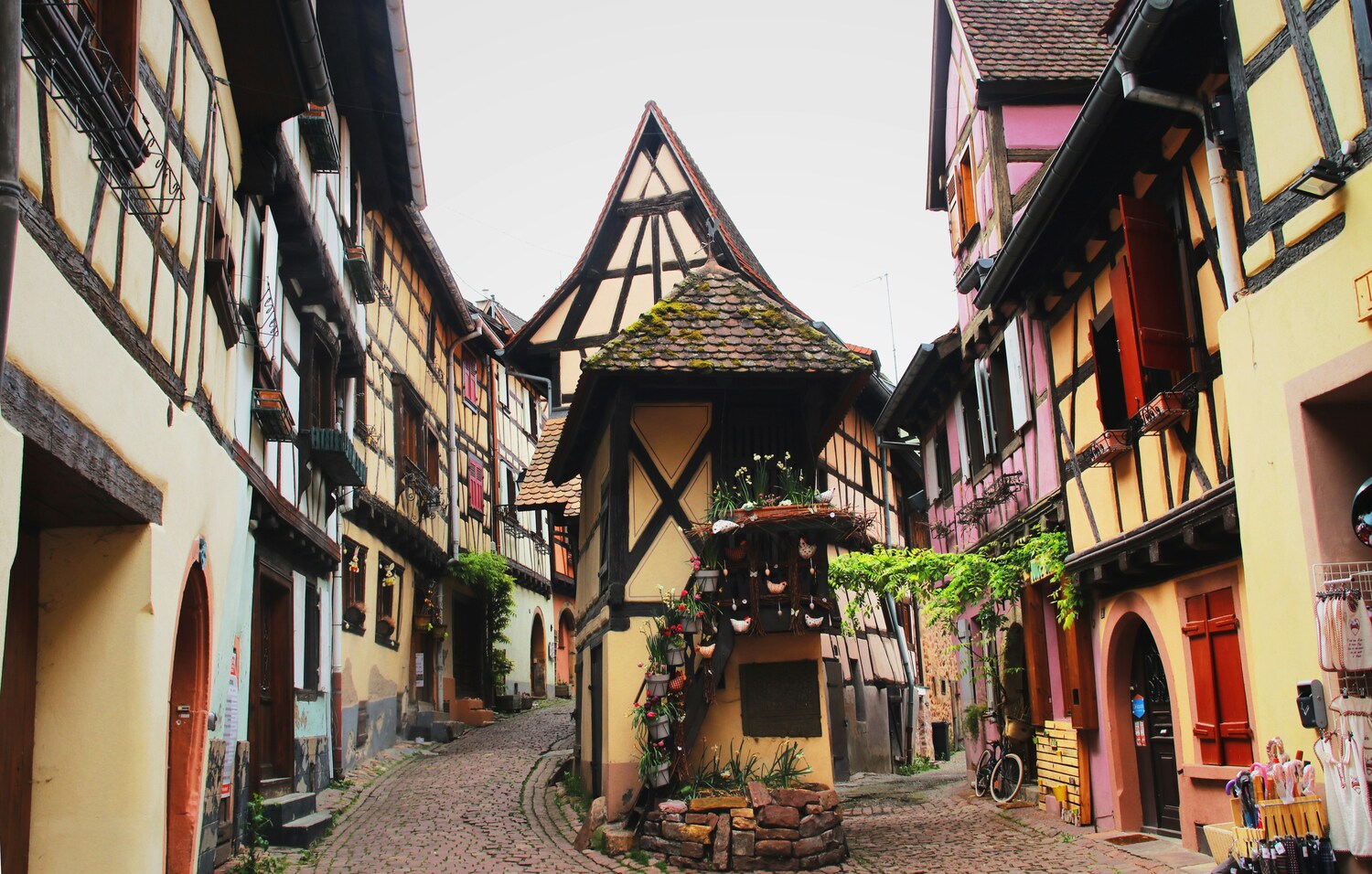 Strasbourg, Colmar, Eguisheim, Riquewihr: Private Tour