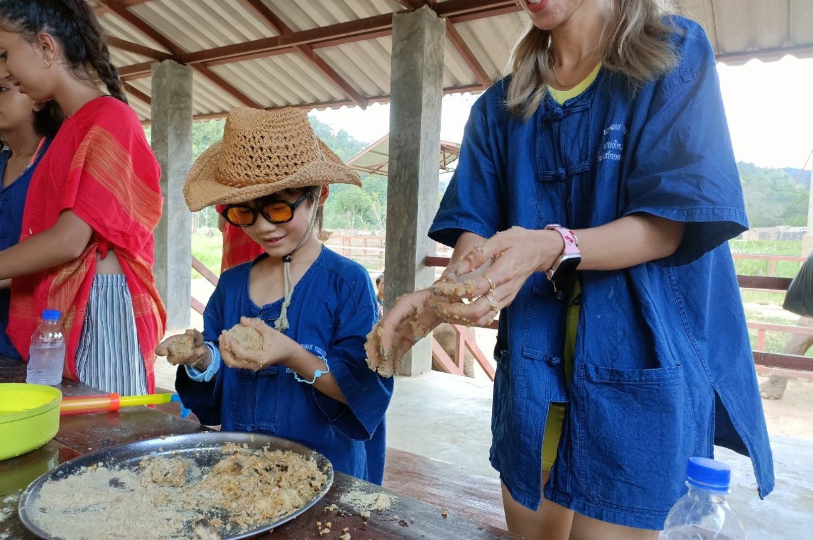 Preparing nutritious elephant food during the elephant care program at Chokchai Elephant Camp, Thailand.