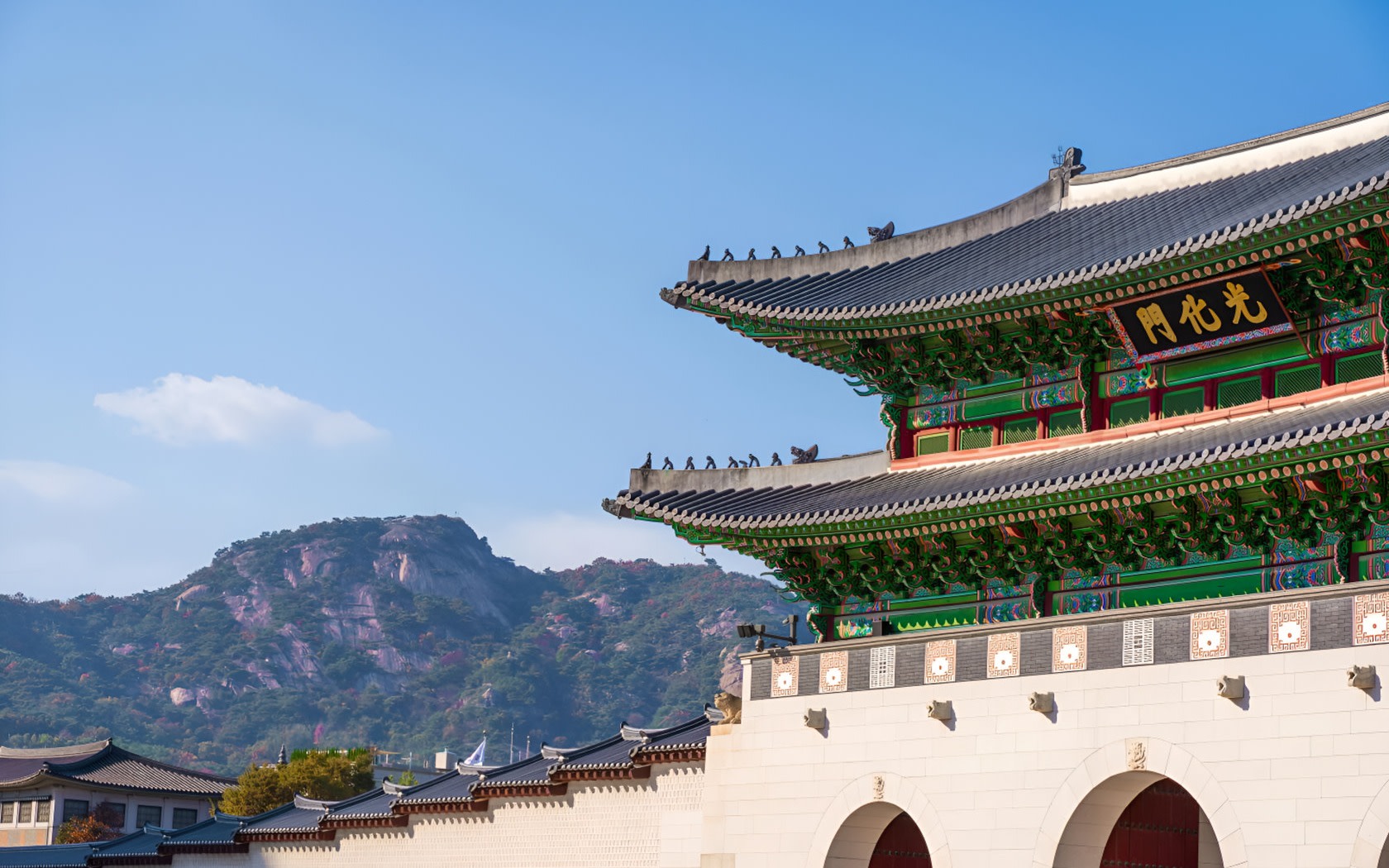 Private Car Charter Service : Tailored Seoul & Suburbs Tour