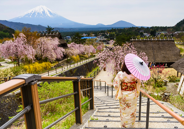 One-day tour of Mt. Fuji and Lake Kawaguchi, Arakurayama Sengen Park, Lake Kawaguchi, Oishi Park, Saiko Healing Center