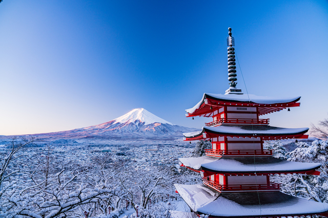 富士山打卡一日遊（含四季花卉 & 河口湖纜車 & 水果採摘吃到飽）- 東京出發