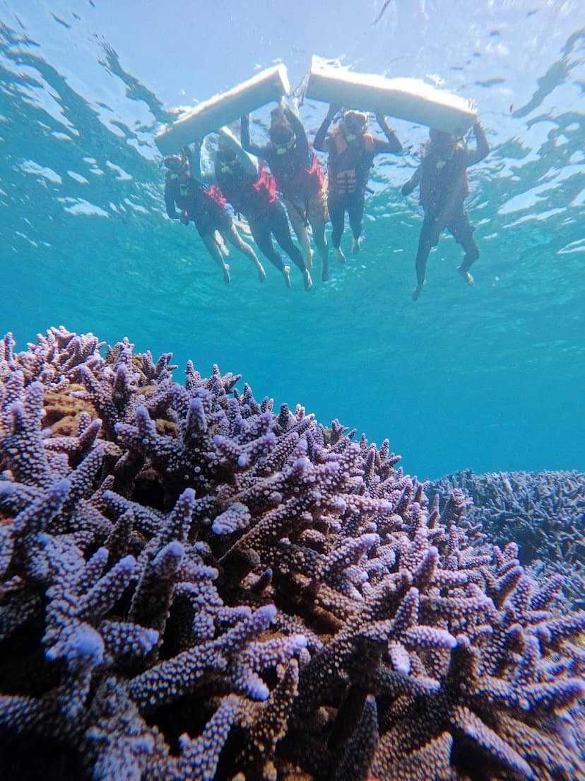 Penghu: Lavender Forest & Southern Four Islands National Park Snorkeling Day Trip