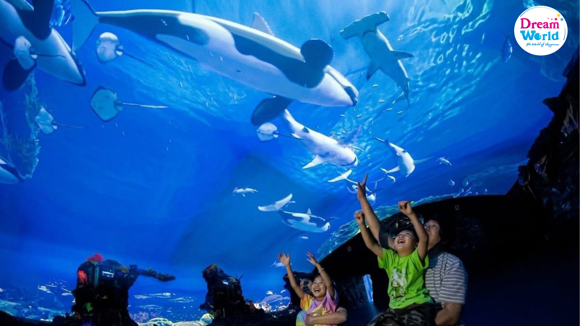 前往曼谷（Bangkok）夢幻世界樂園（Dream World）全新開幕的“海底世界”水族館（Under The Sea），探索多姿多彩的海洋生物和引人入勝的海洋展品