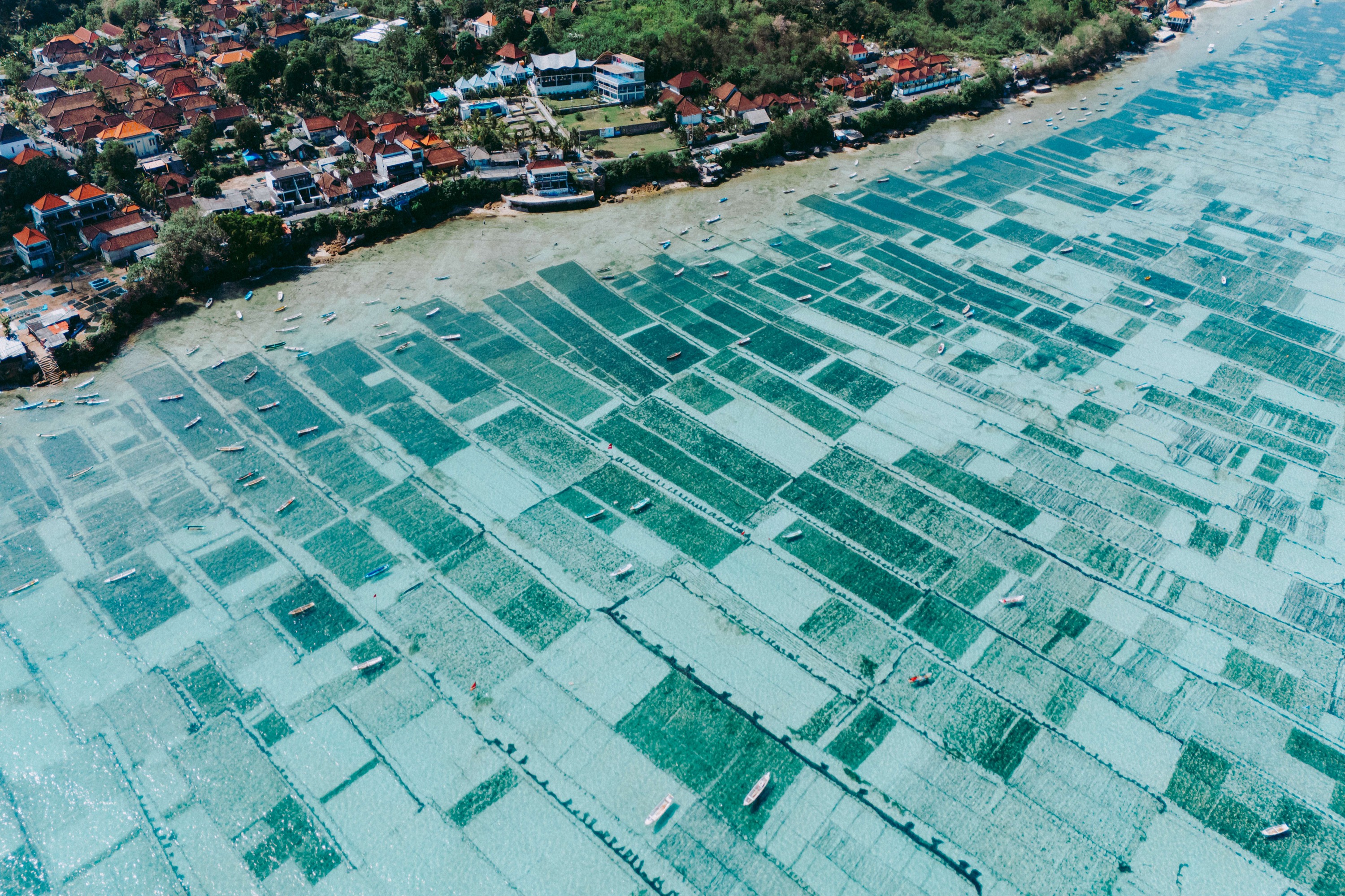 Bali to Nusa Lembongan Castaway Escape Beach Club & Activities