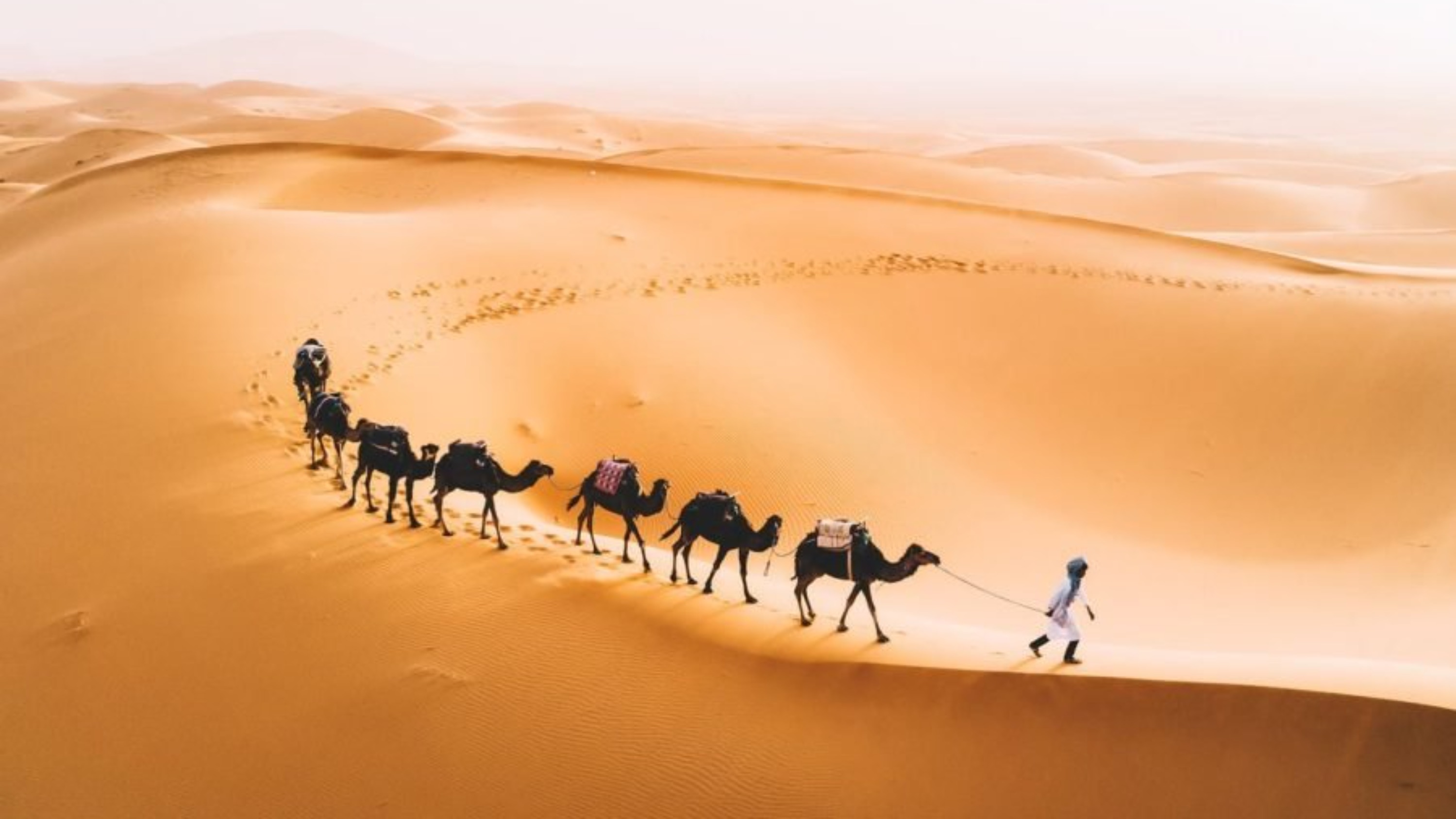 Explore Morocco’s diverse terrain, from mountain passes to rolling sand dunes