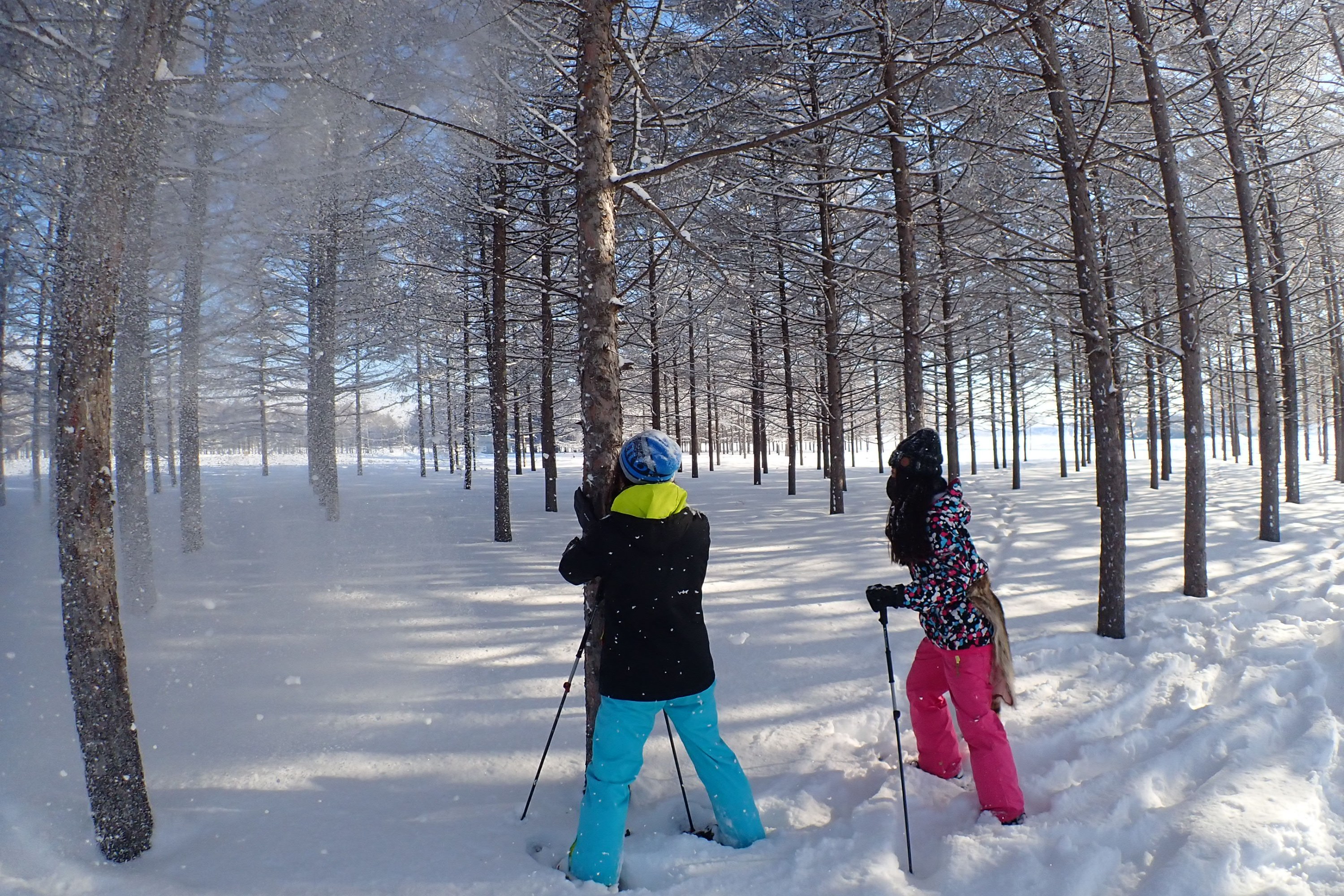 莫埃來沼公園雪地徒步體驗