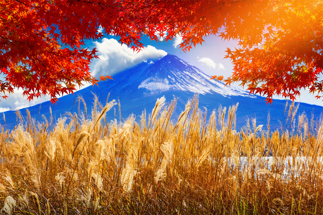 富士山探索之旅-新倉山淺間公園·天梯小鎮·忍野八海·河口湖大石公園·西湖療愈里根場一日遊