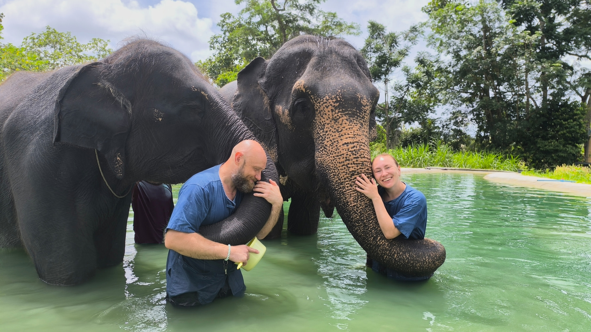 Опыт Trunk & Soul Elephant Home в Пхукете