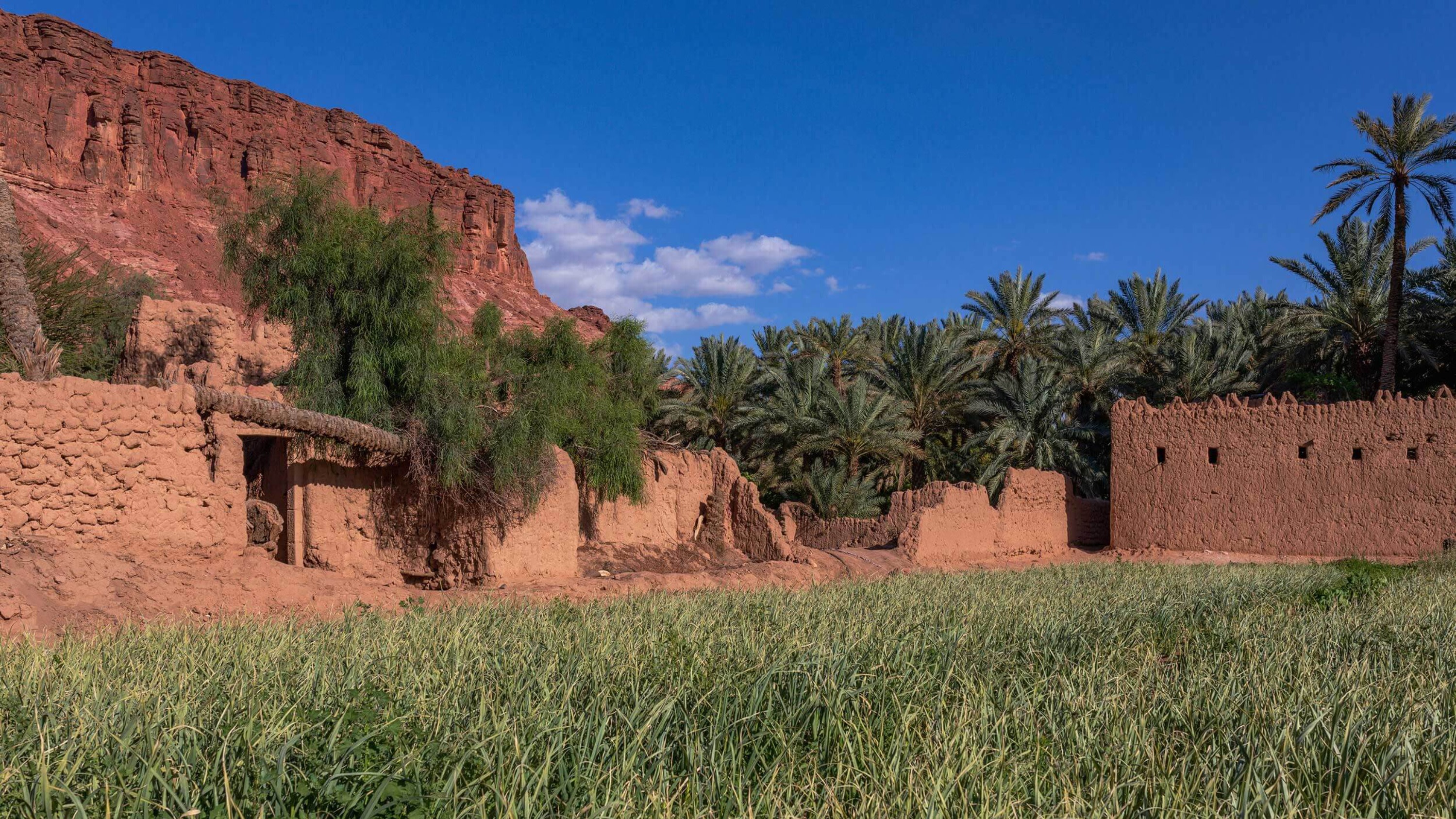 Al-'Ula Oasis Heritage Trail Half-Day Small Group Tour