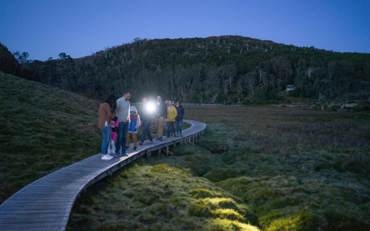 Cradle Mountain Night Spotting Tour