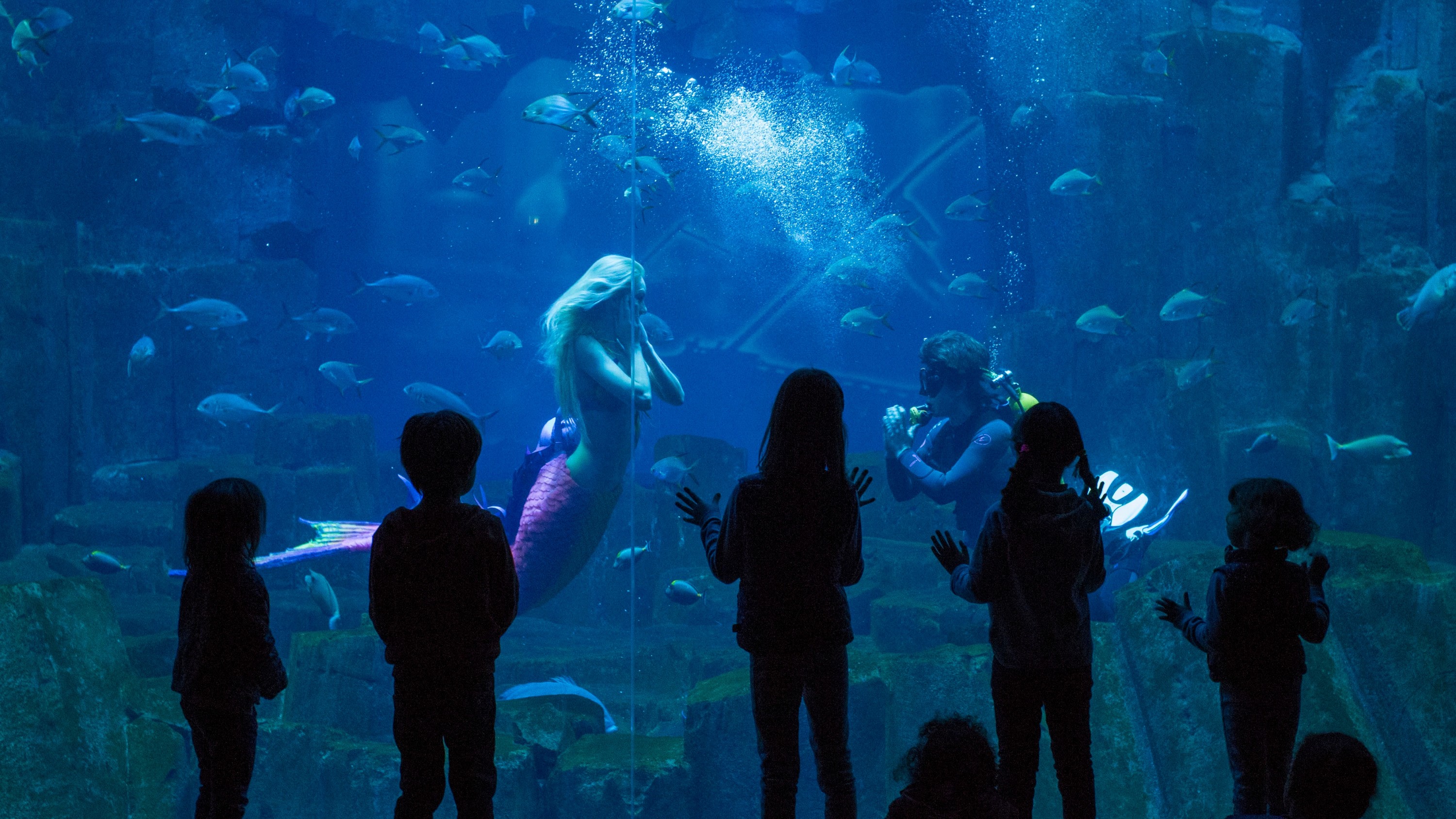 巴黎水族館 (Aquarium de Paris - Cinéaqua) 巴黎水族館 (Aquarium de Paris - Cinéaqua)