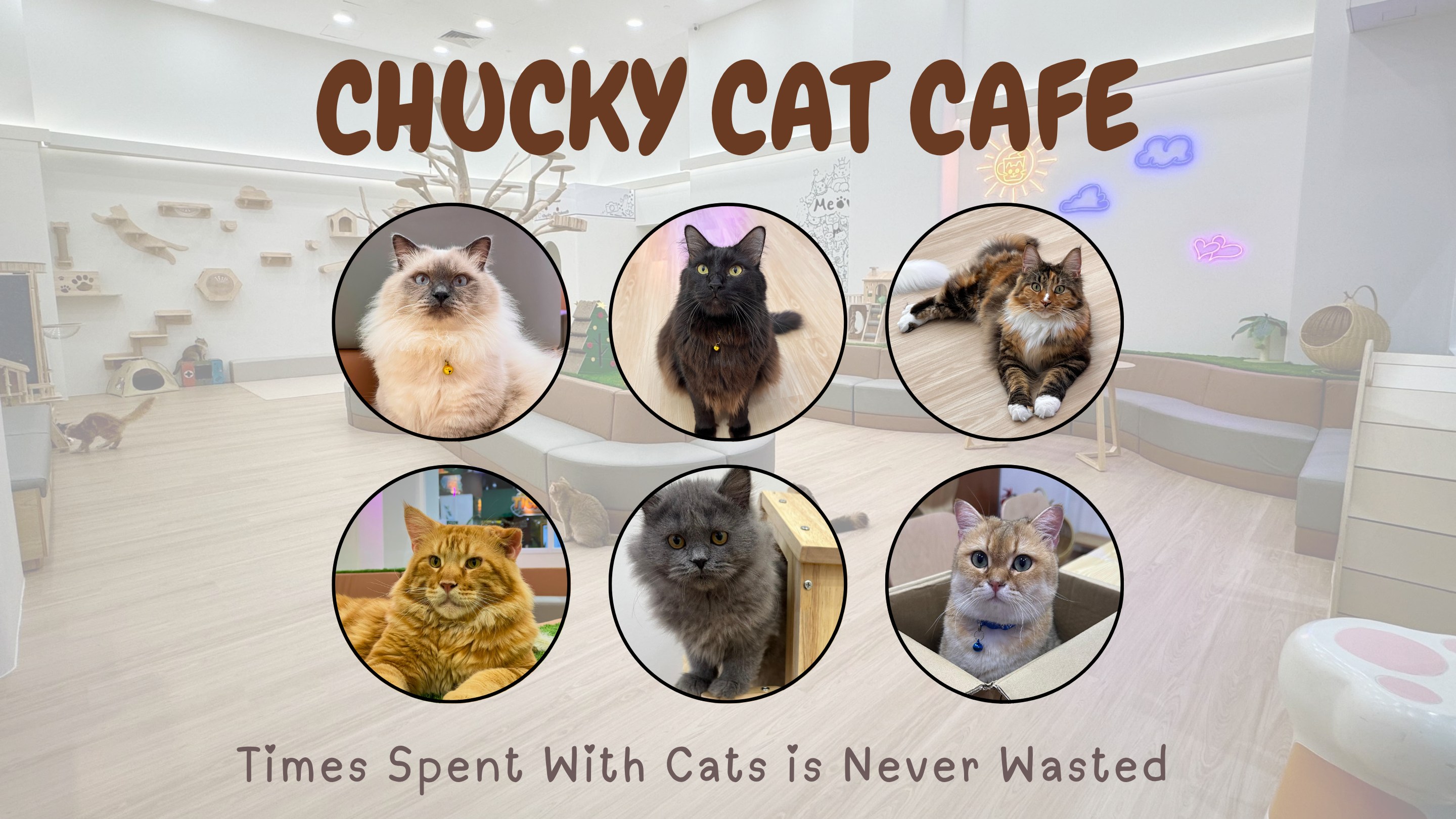 Chucky Cat Cafe at KOMTAR JBCC (JOHOR BAHRU)