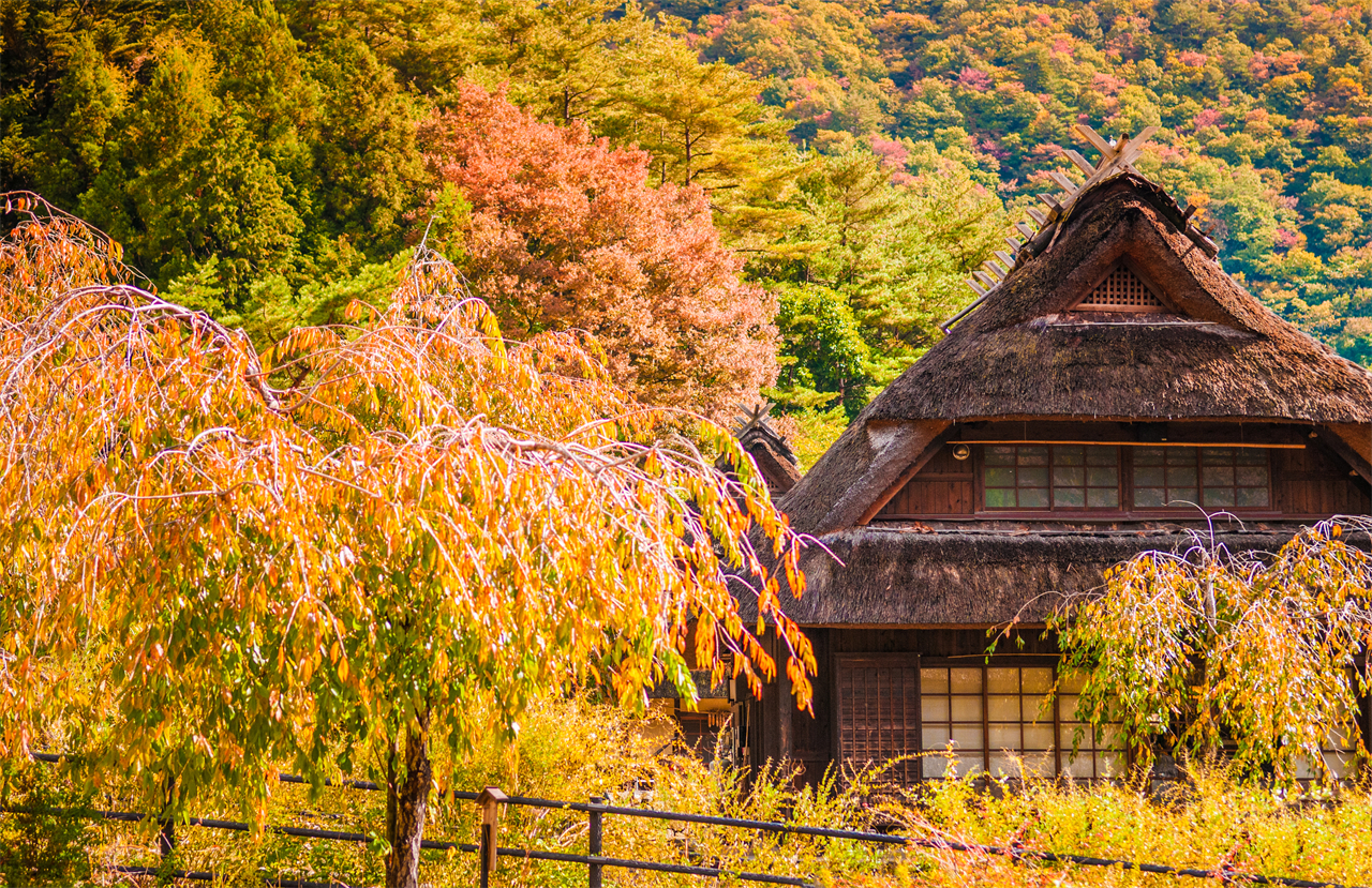 富士山探索之旅-新倉山淺間公園·天梯小鎮·忍野八海·河口湖大石公園·西湖療愈里根場一日遊