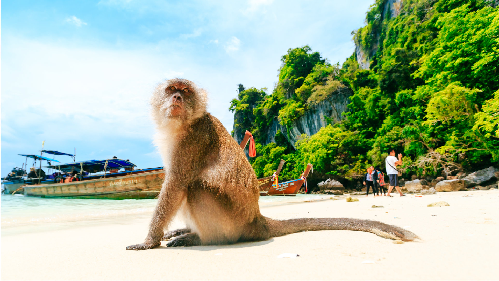 普吉島：快艇雙體船皮皮島一日遊 (Phuket: Phi Phi island Day Tour by Speedboat Catamaran)