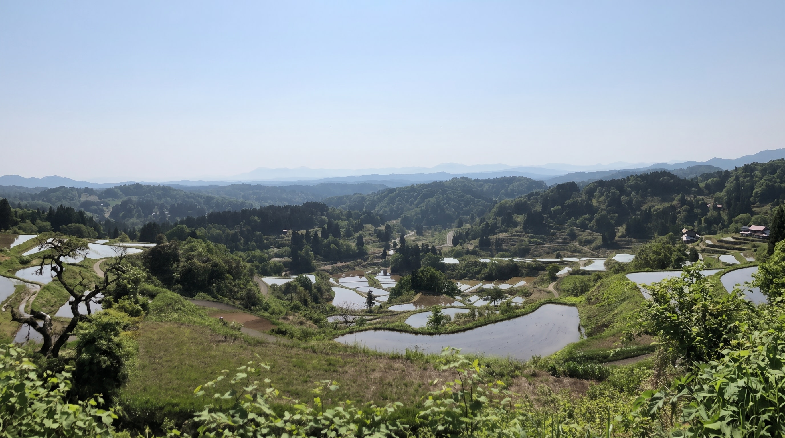 Niigata 1-Day Hidden Gems and Art Festival Tour (with Hegi Soba lunch)