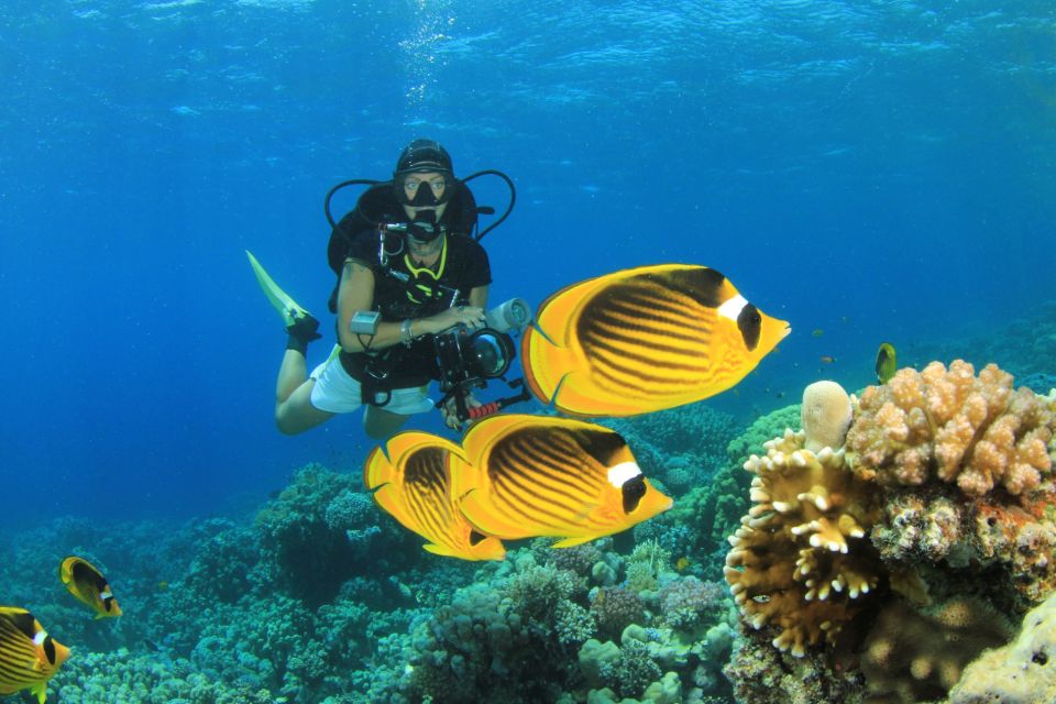 Sharm: Ras Mohamed Diving Boat Trip with Private Transfers