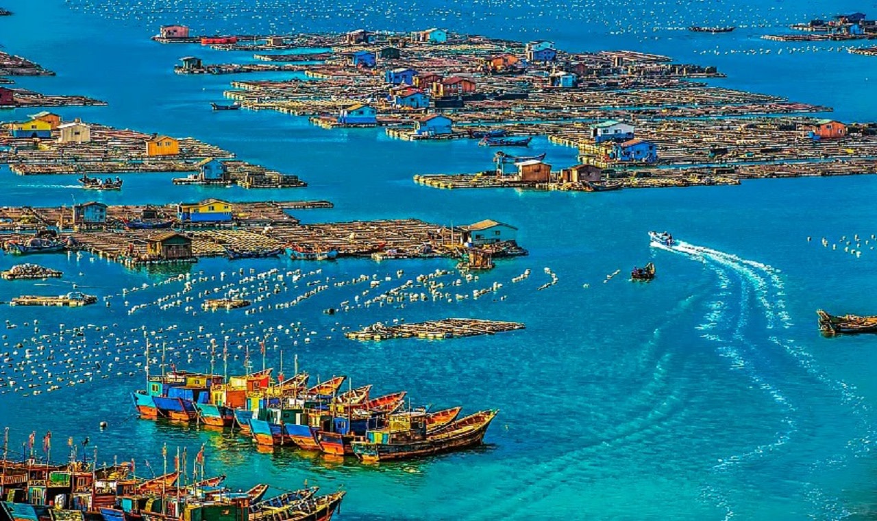 Fuzhou Qida qishlog‘i va sohil manzaralari bo‘ylab to‘liq kunlik sayohat