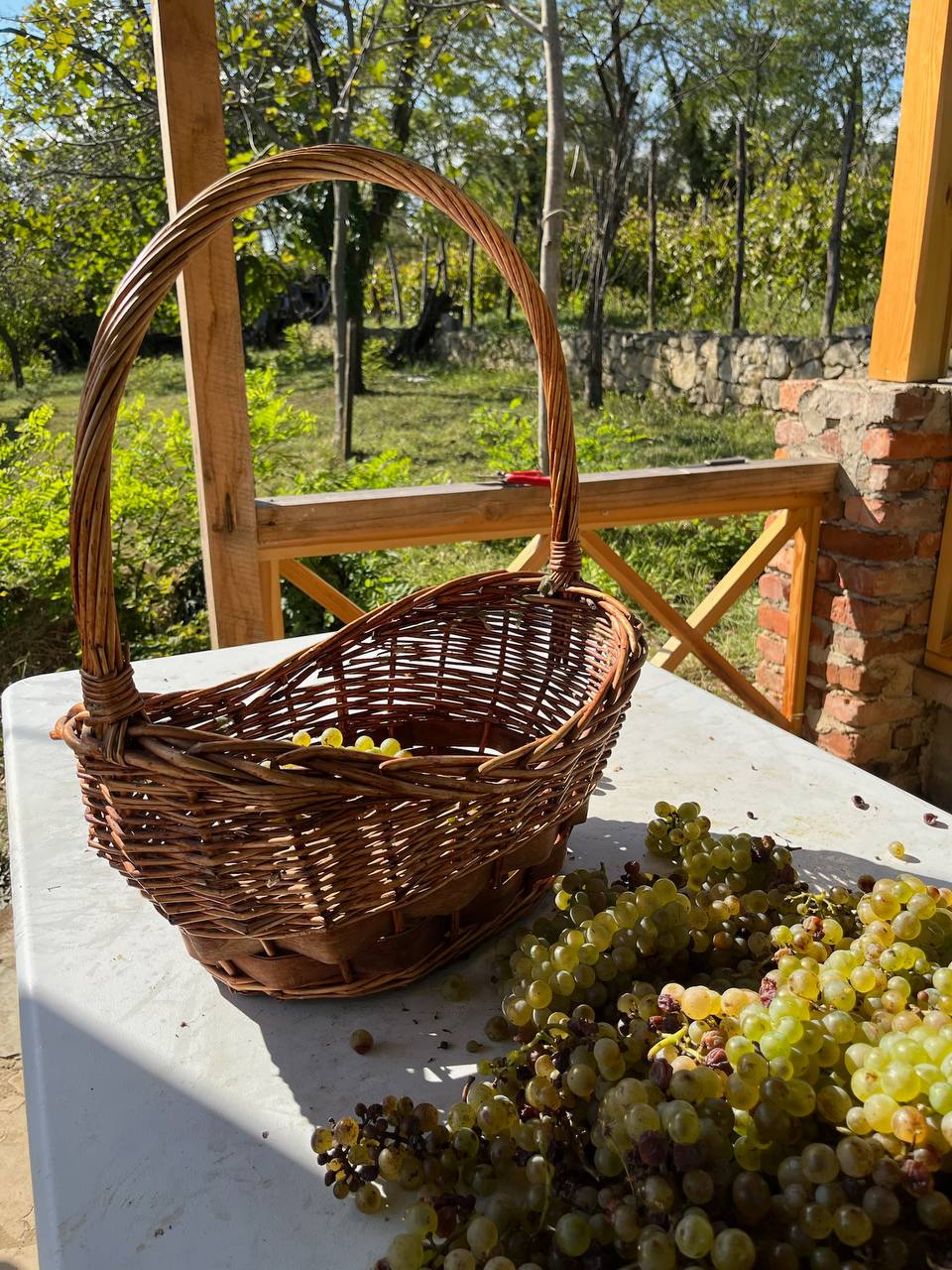 Wine Tour from Kutaisi