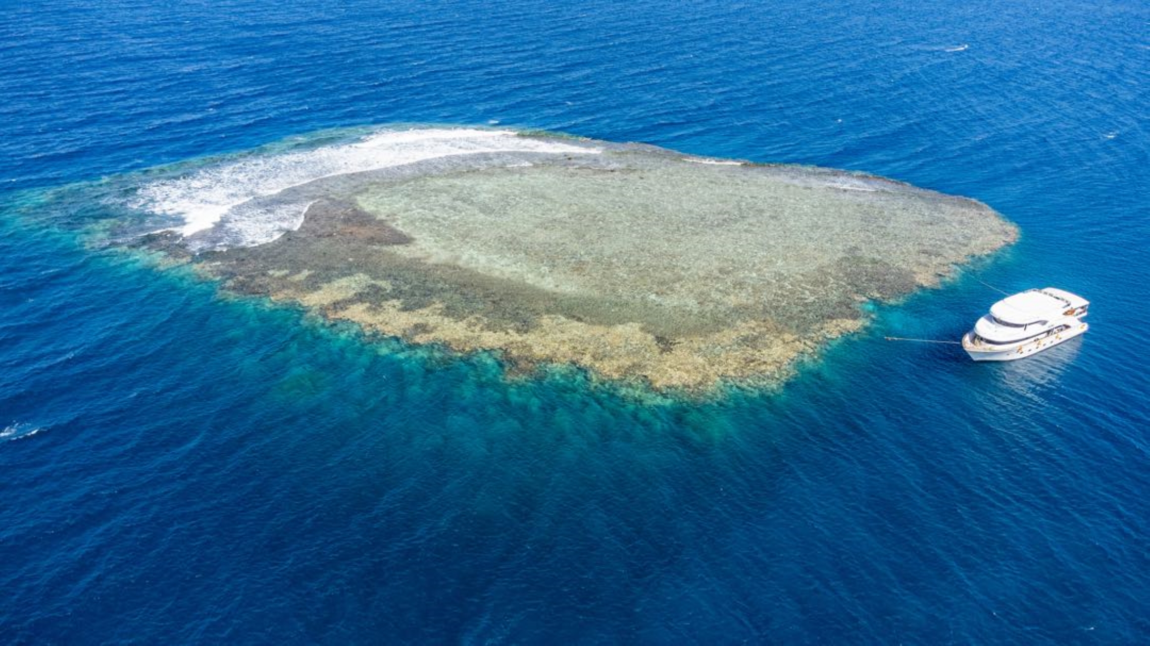 Coral Garden Snorkeling Trip & intro dive With Transfer - Marsa Alam